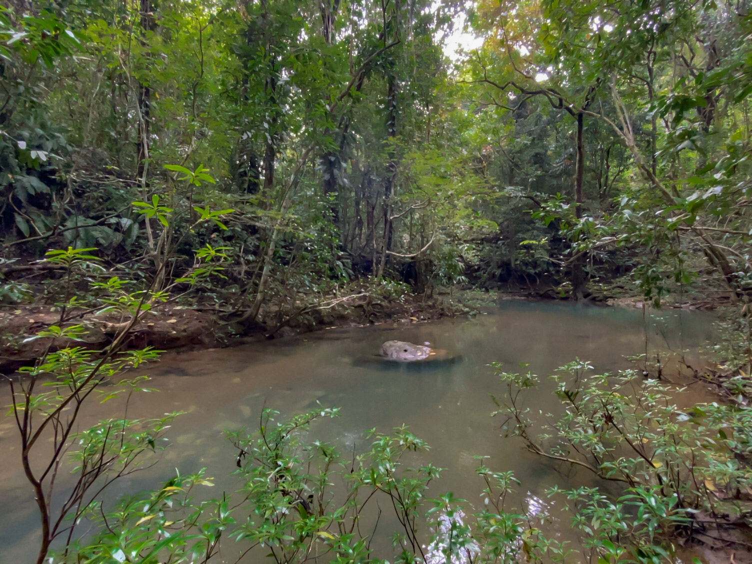 Las Delicias, Delicias, Puntarenas, CR, ,Land,For Sale,Las Delicias,1613556