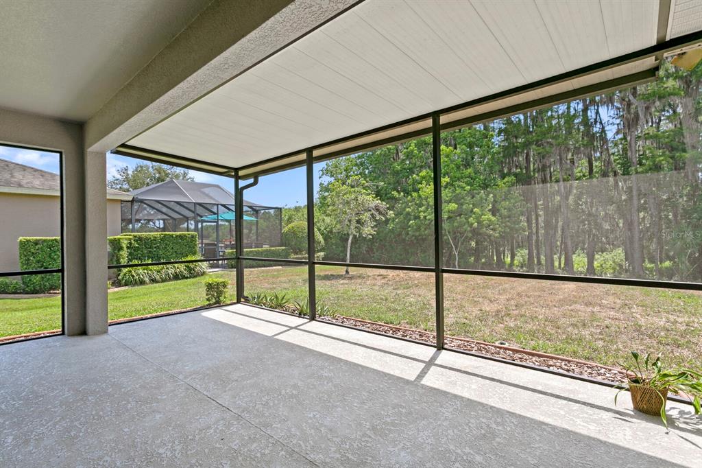Lutz, Florida, 33558, United States, 4 Bedrooms Bedrooms, ,2 BathroomsBathrooms,Residential,For Sale,1760226