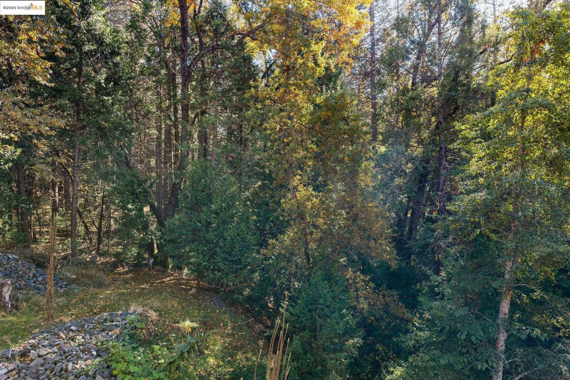 Sonora, California, 95370, United States, 5 Bedrooms Bedrooms, ,3 BathroomsBathrooms,Residential,For Sale,1979113