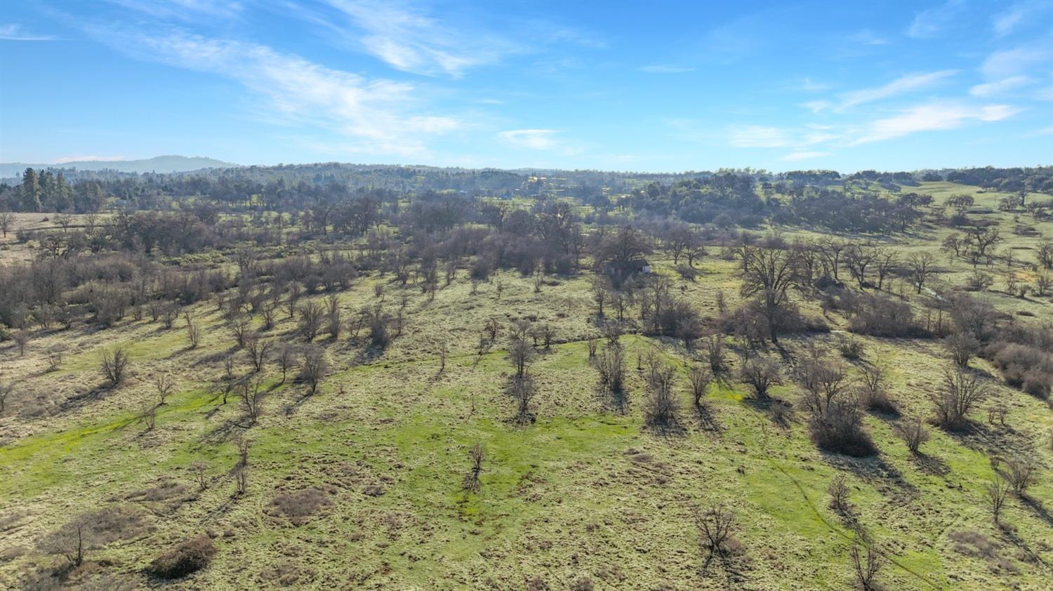 Cool, California, 95614, United States, ,Land,For Sale,1994251