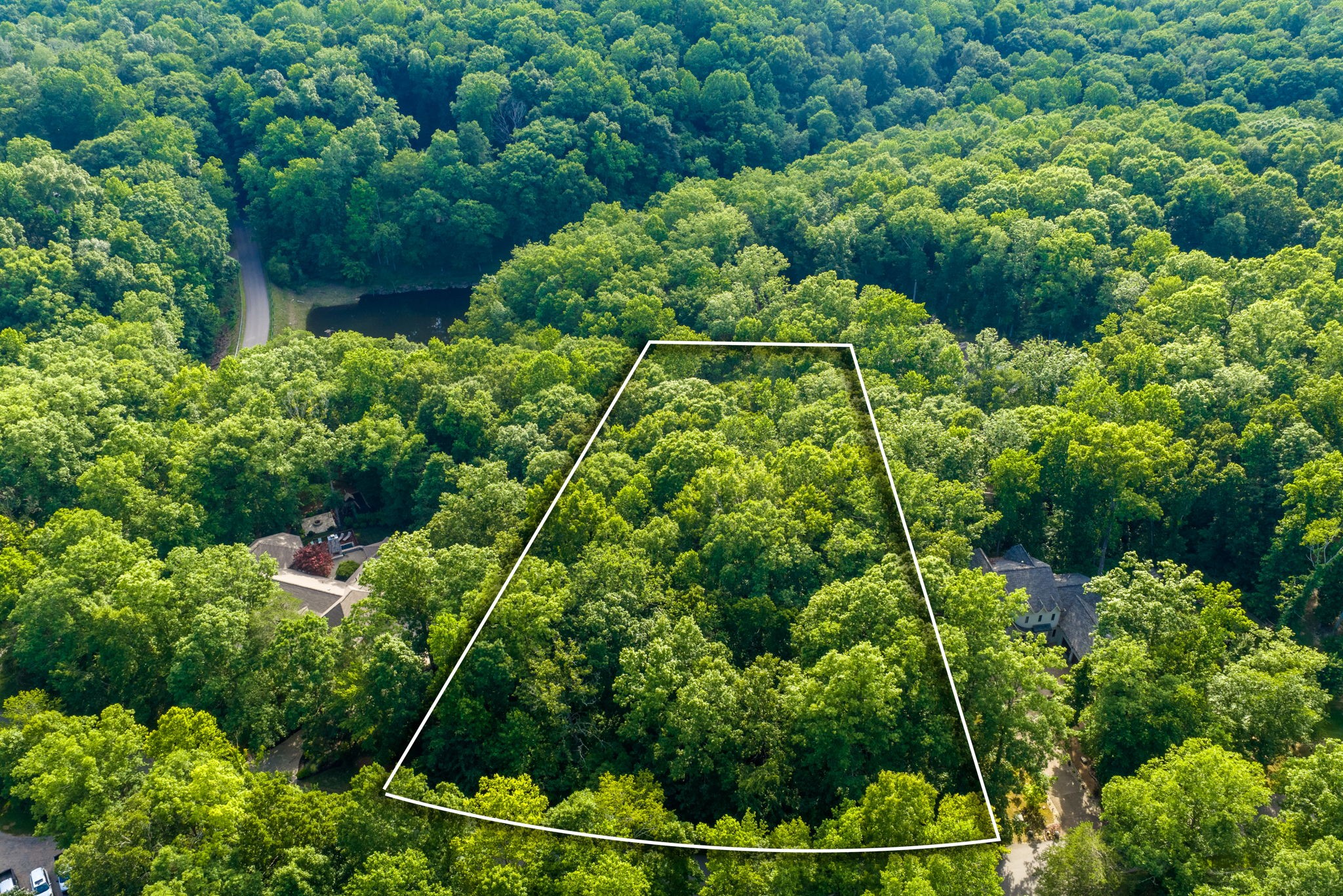  1011 Champion Hills Dr, Kingston Springs, TN, 37082 - 物件實景