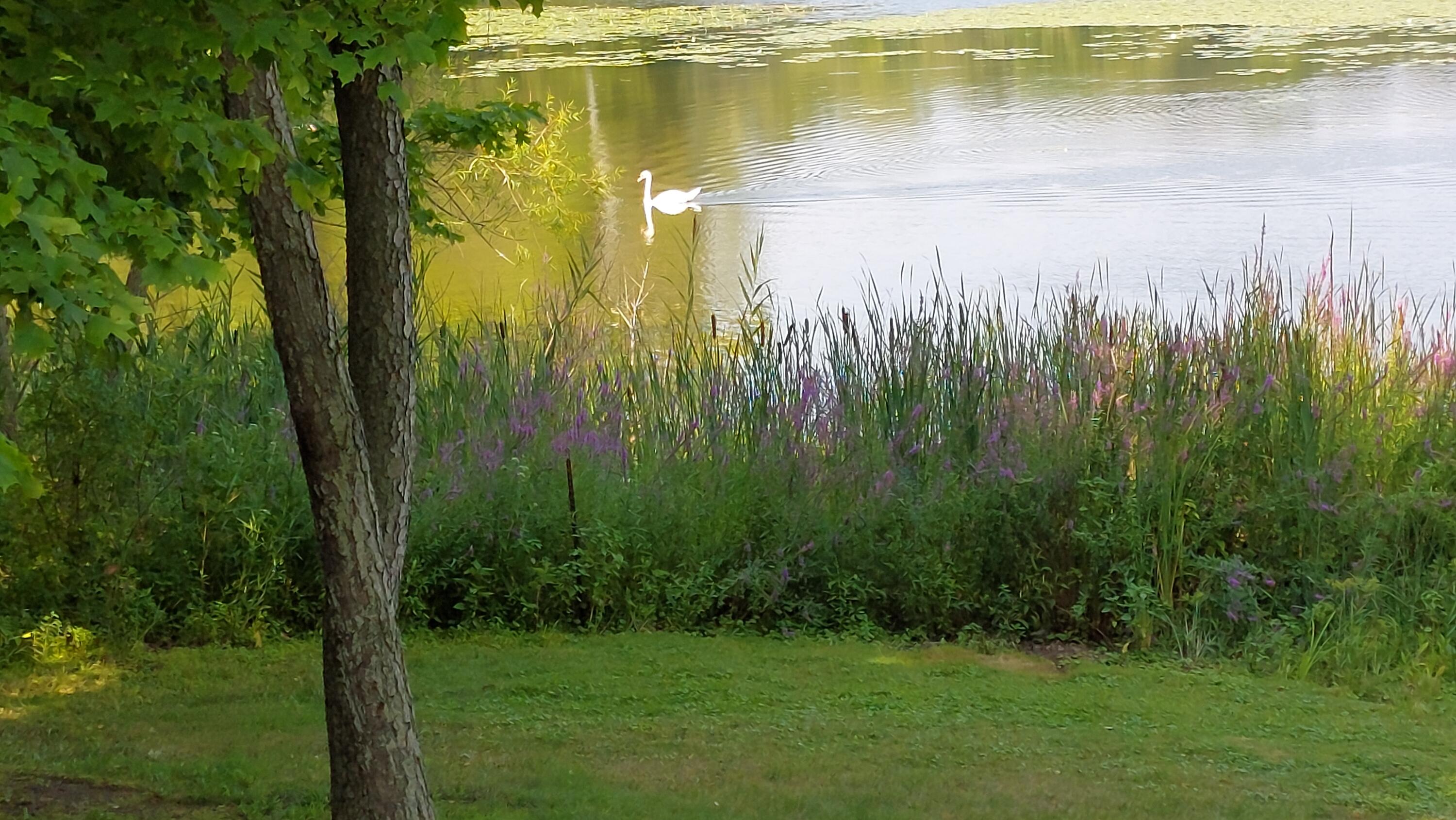 Dowagiac, Michigan, 49047, United States, 3 Bedrooms Bedrooms, ,2 BathroomsBathrooms,Residential,For Sale,1909140