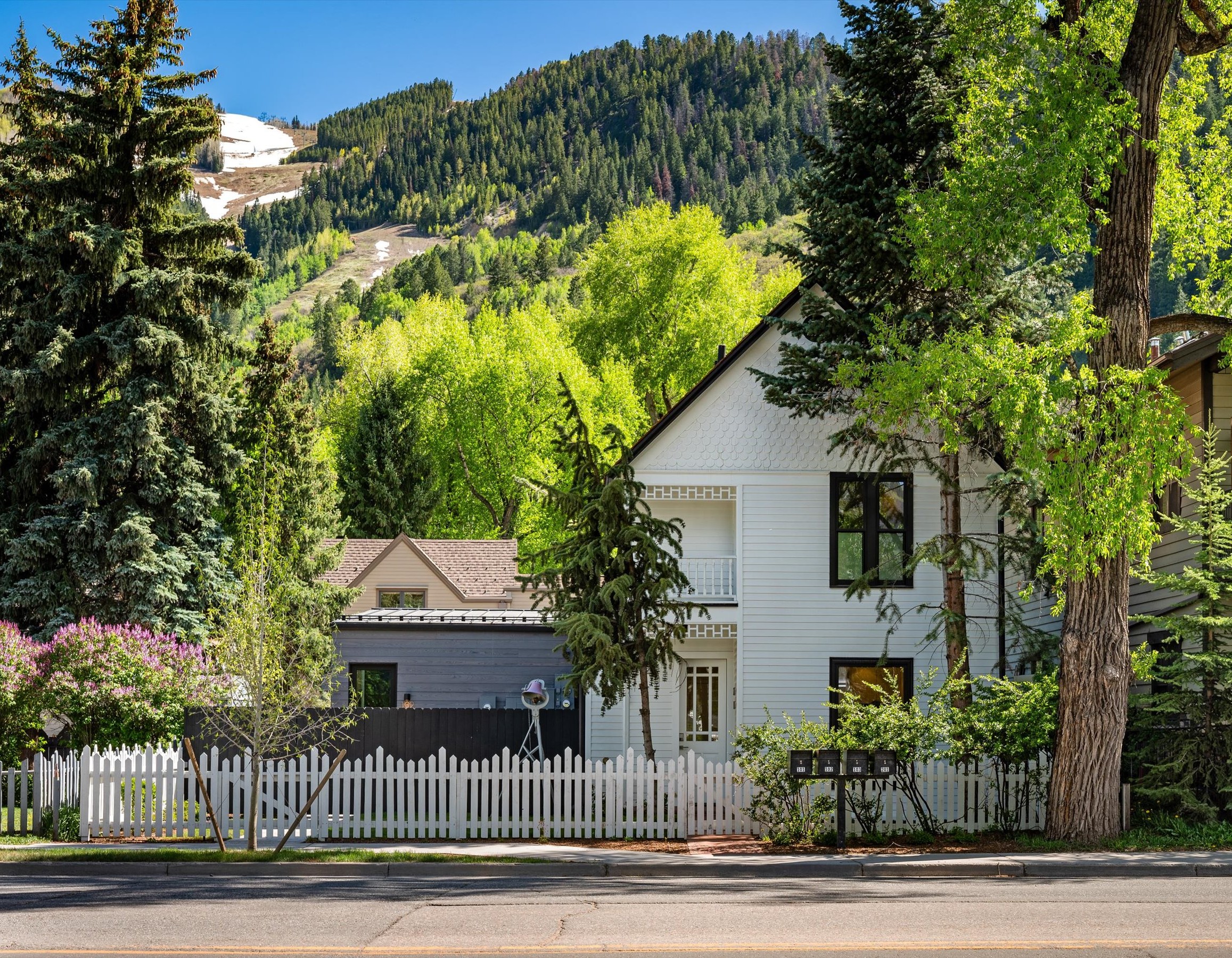  The Jewel of Aspen; an Elegant 4-Unit Lady Victorian - 物件實景