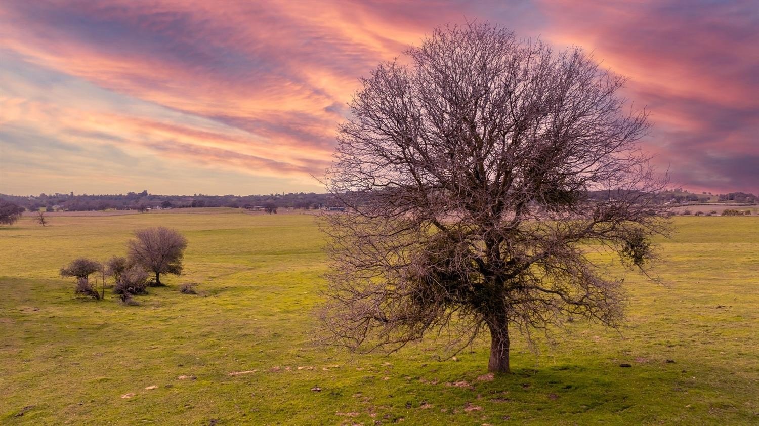 Burson, California, 95225, United States, ,Residential,For Sale,1880944