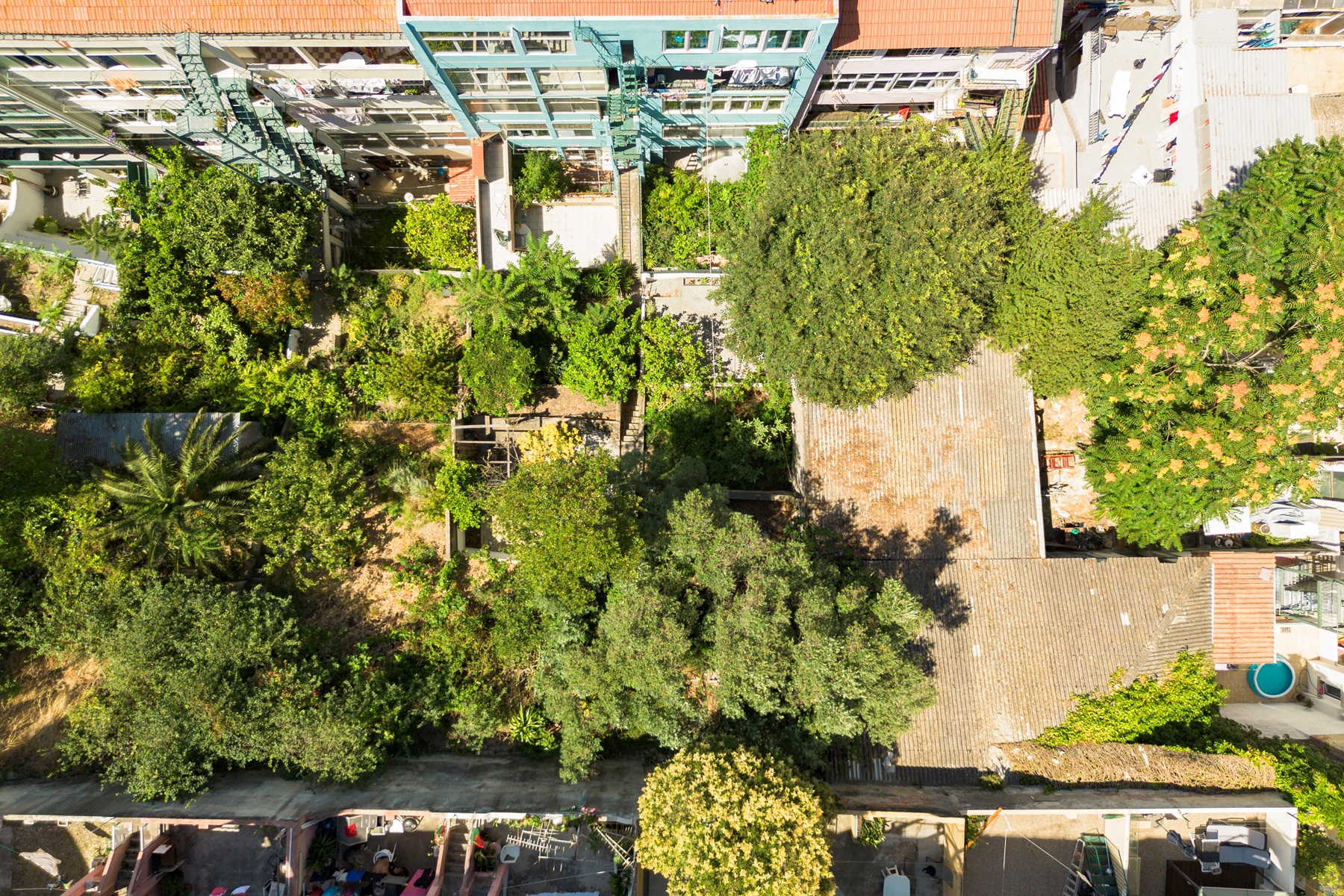  Flat, 3 bedrooms, for Sale - 物件實景