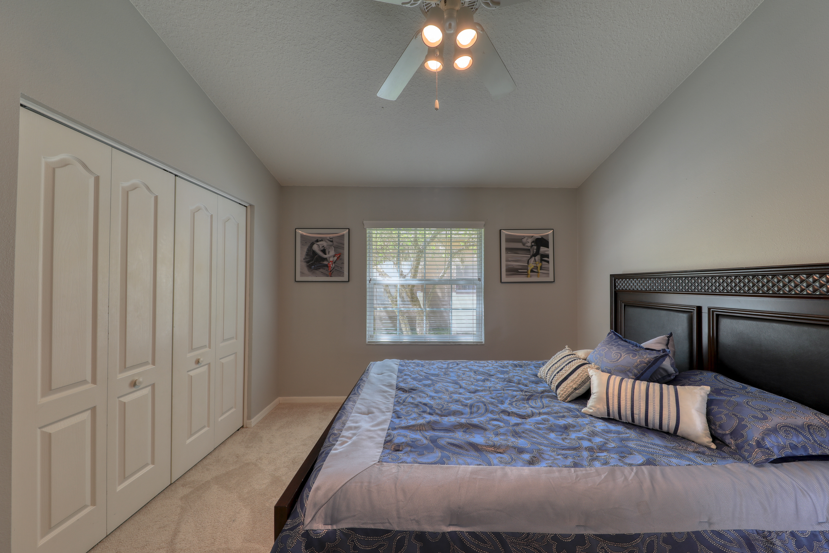 Palm Harbor, Florida, 34685, United States, 4 Bedrooms Bedrooms, ,3 BathroomsBathrooms,Residential,For Sale,1873066
