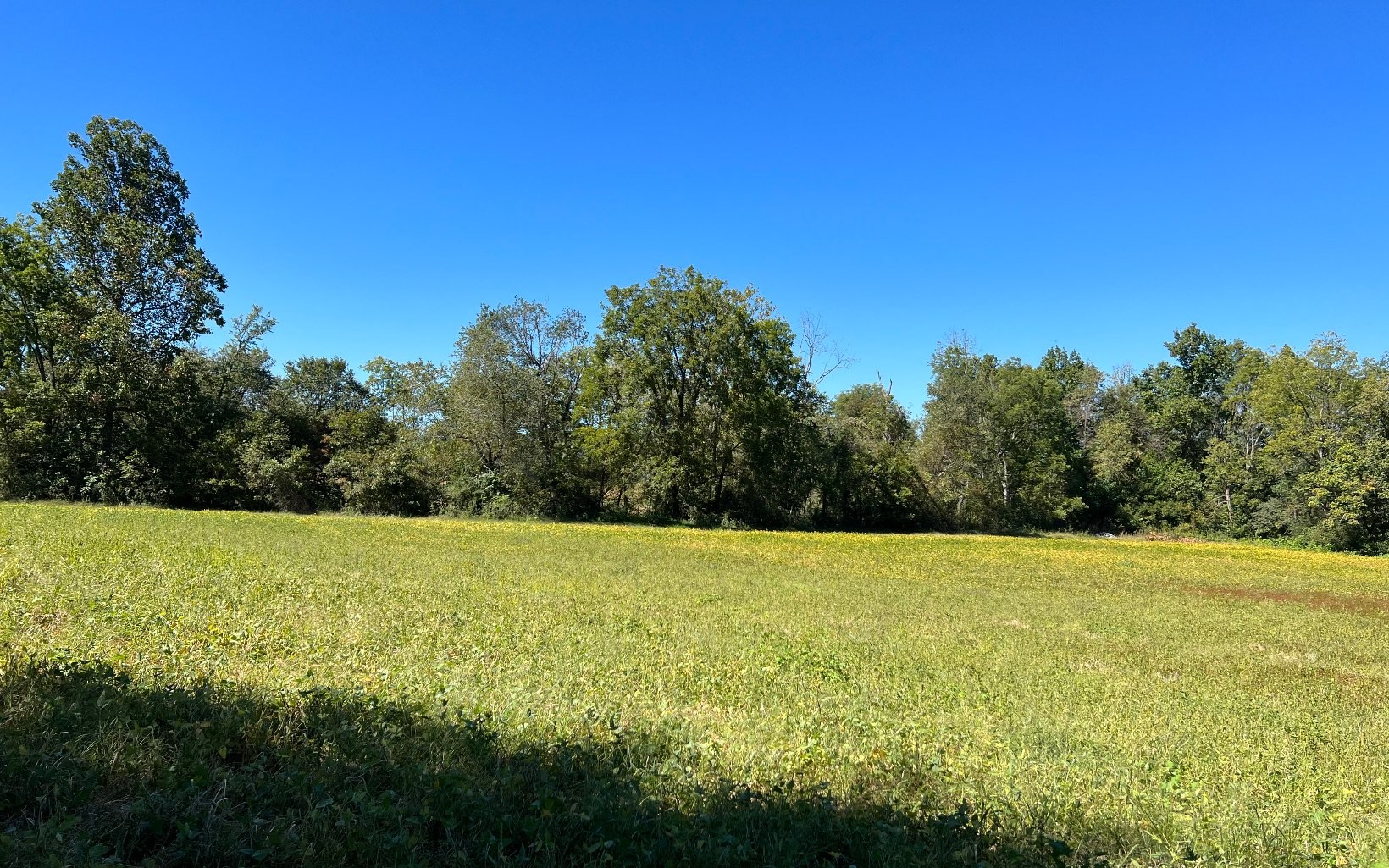 Hayesville, North Carolina, 28904, United States, ,Residential,For Sale,1943293
