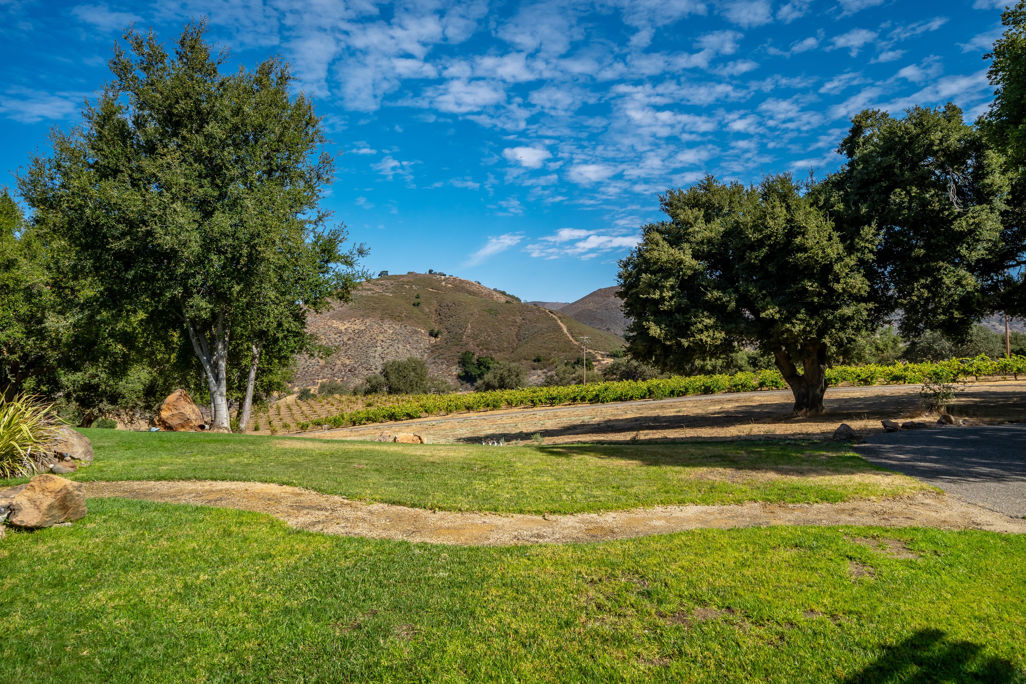  Extraordinary Vineyard Estate - 物件實景