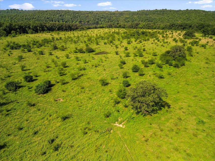 Udall, Missouri, 65766, United States, ,Land,For Sale,1984172