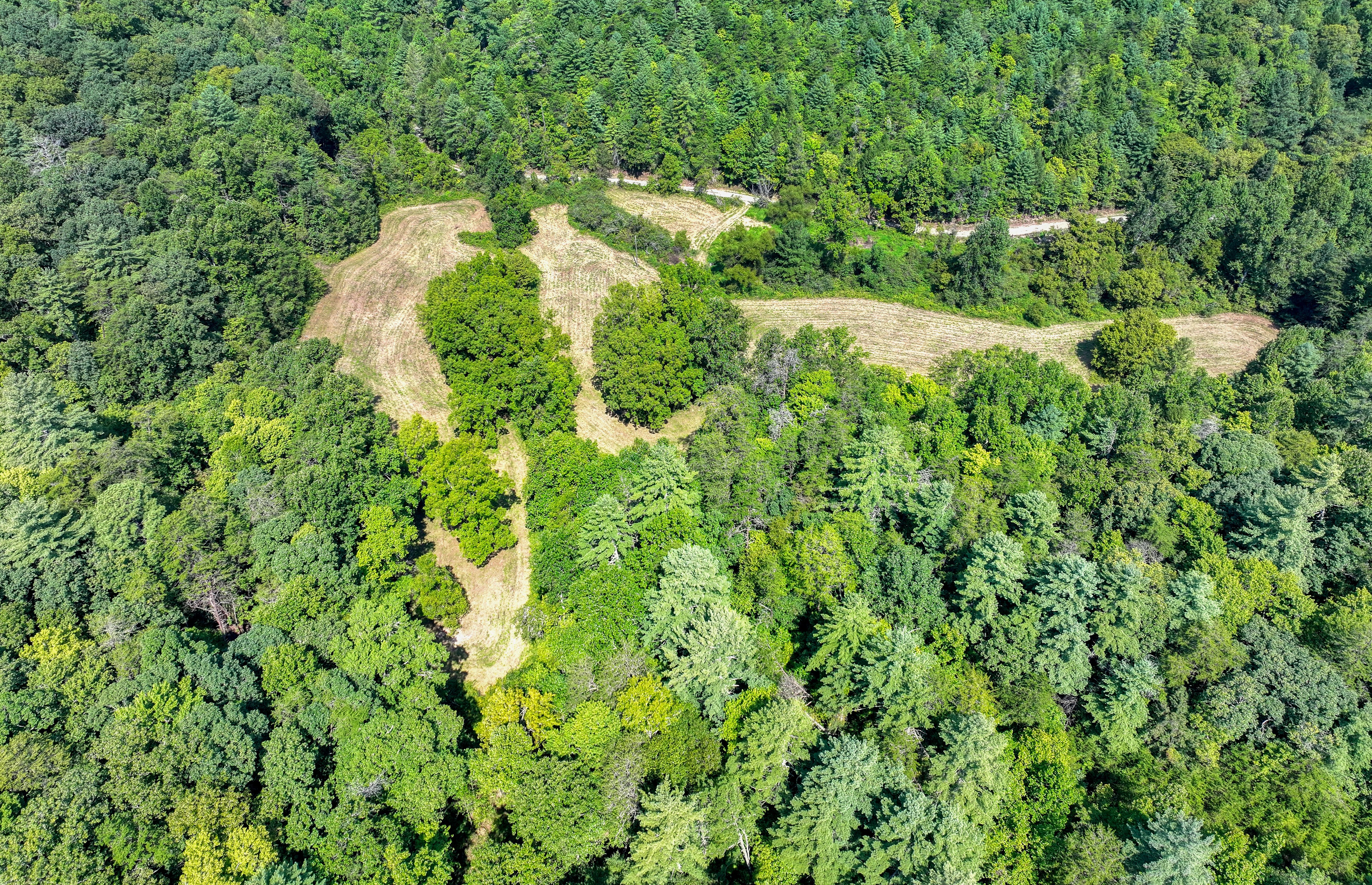  Belcher Loop, Tellico Plains, TN 37385 - 物件實景