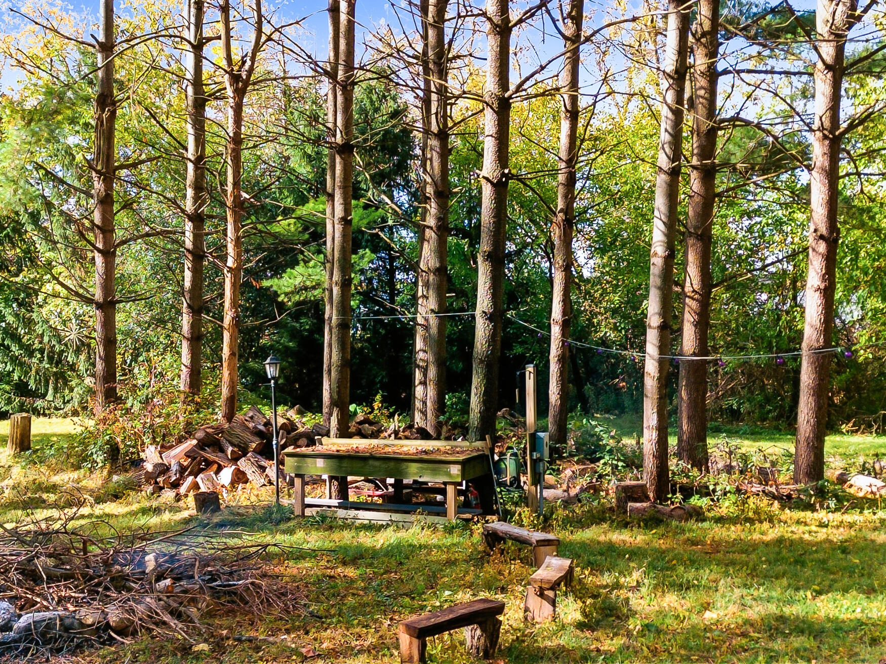 Jefferson, Wisconsin, 53549, United States, 4 Bedrooms Bedrooms, ,2 BathroomsBathrooms,Residential,For Sale,1973075