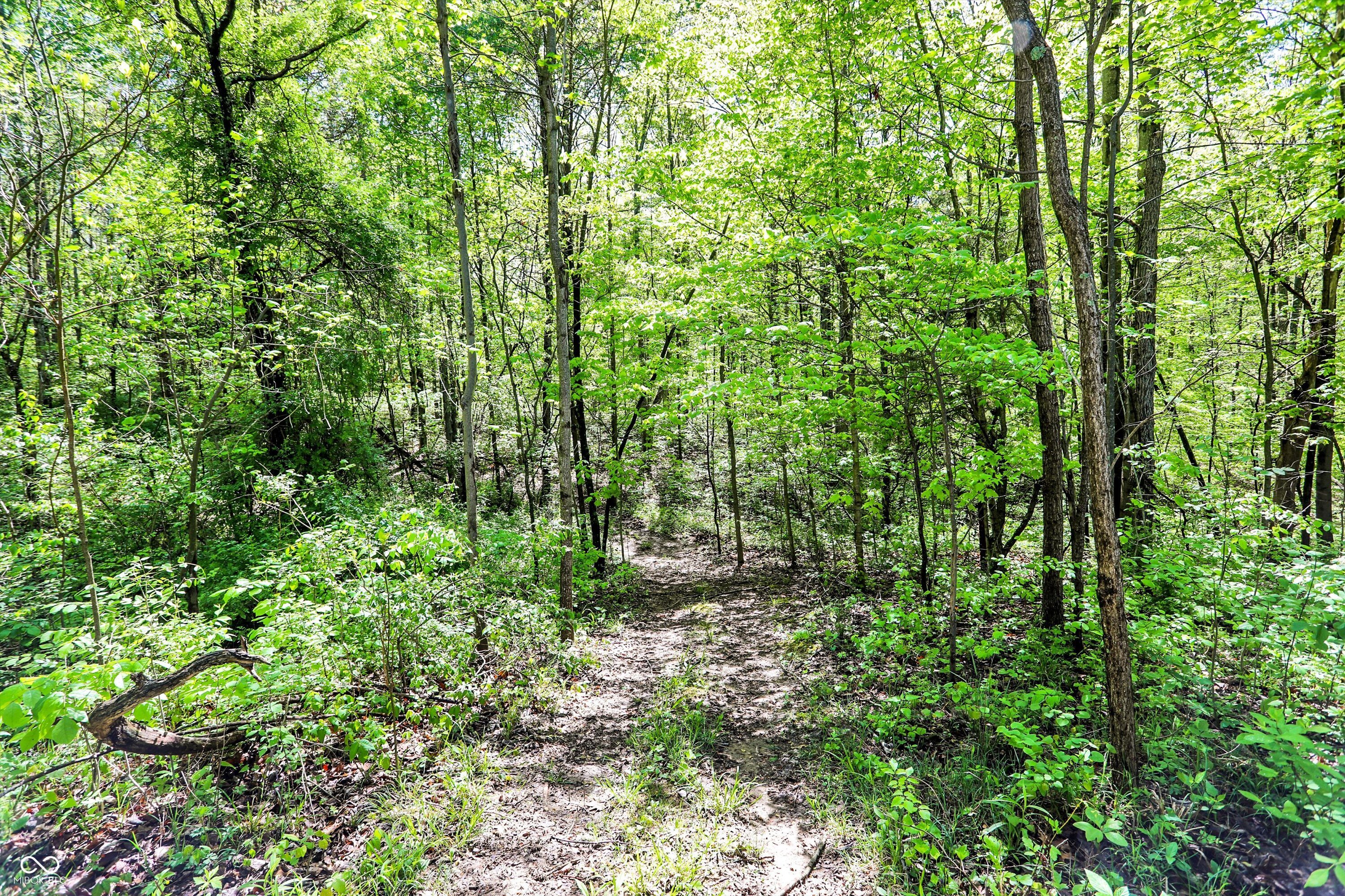 Gosport, Indiana, 47433, United States, ,Residential,For Sale,1980588