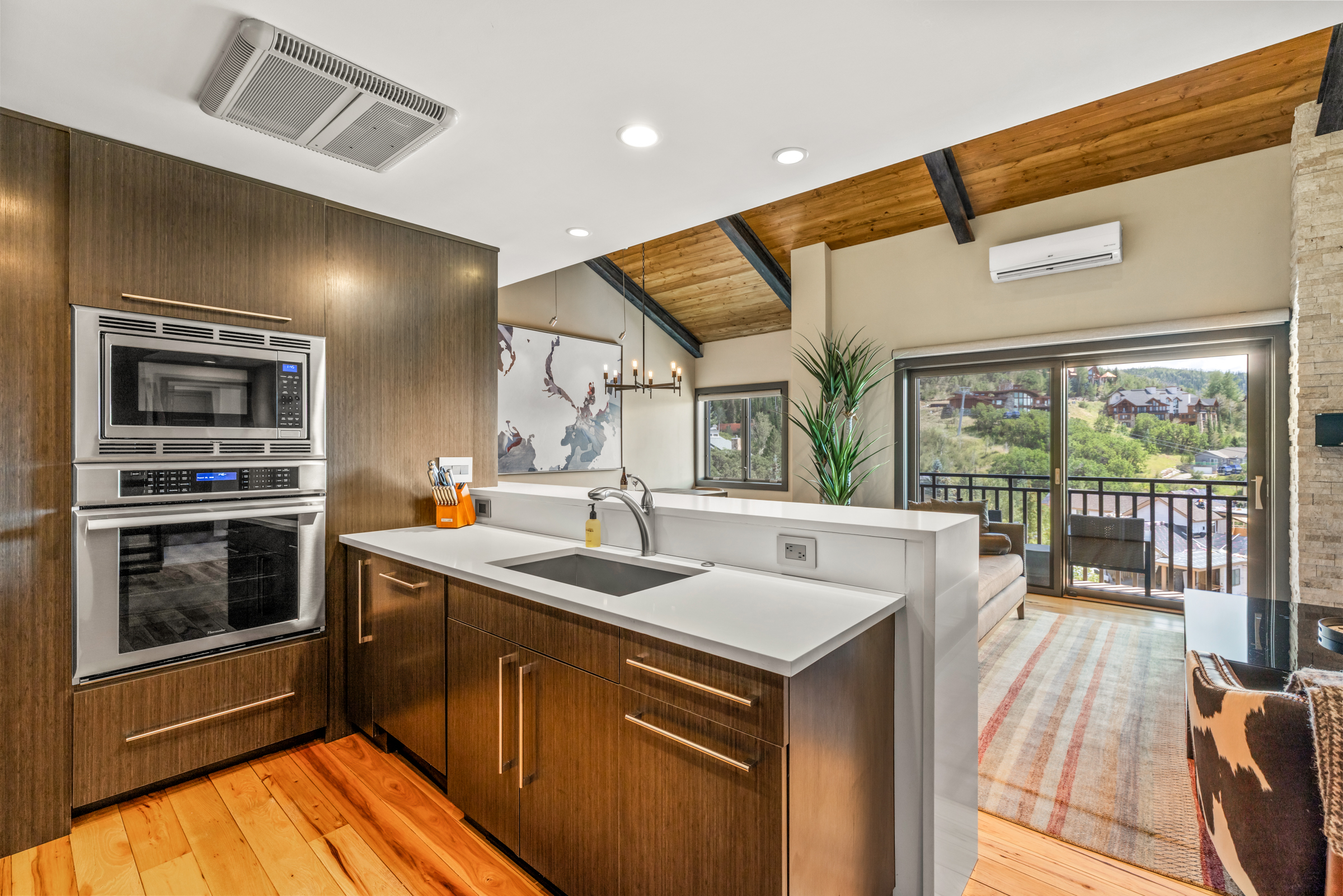  2420 Ski Trail Lane, Steamboat Springs, CO, 80487 - 物件實景