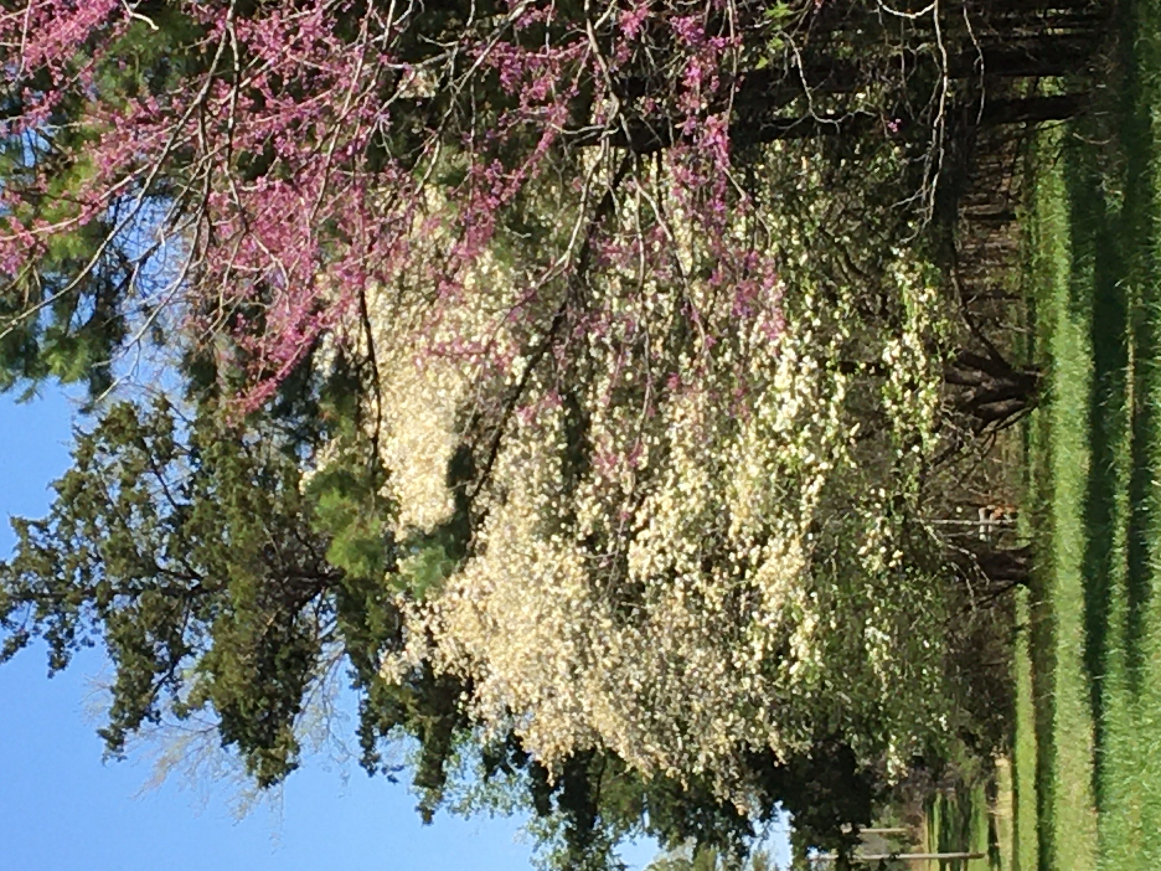 Mena, Arkansas, 71953, United States, 3 Bedrooms Bedrooms, ,3 BathroomsBathrooms,Residential,For Sale,1979119