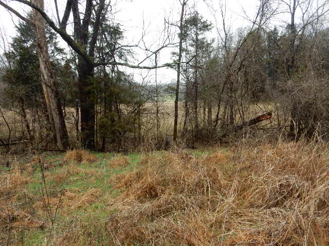 Clermont, Kentucky, 40110, United States, ,Land,For Sale,1980542