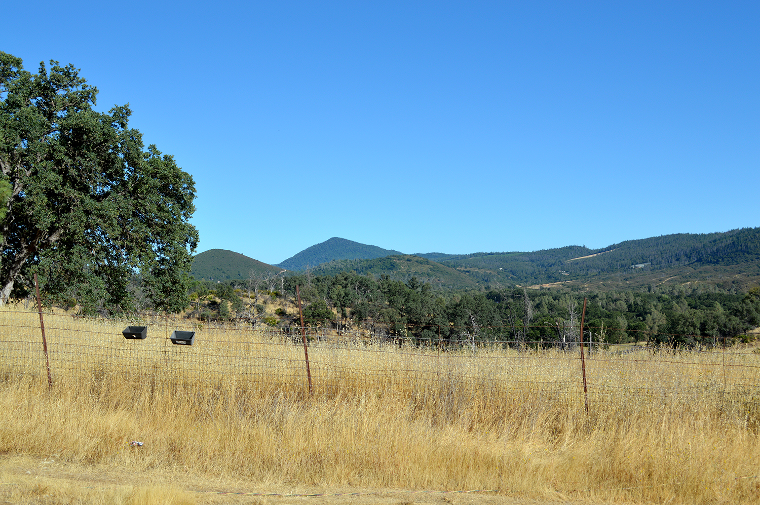 Kelseyville, California, 95451, United States, 2 Bedrooms Bedrooms, ,2 BathroomsBathrooms,Residential,For Sale,1856592