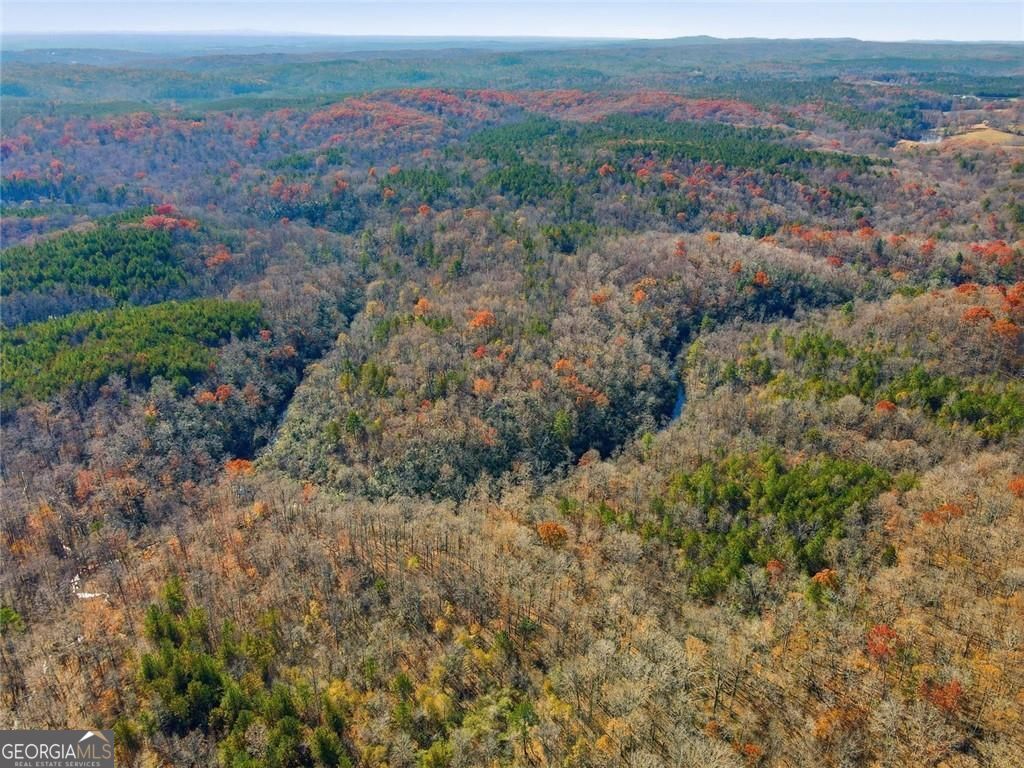 Jasper, Georgia, 30143, United States, ,Land,For Sale,1996551