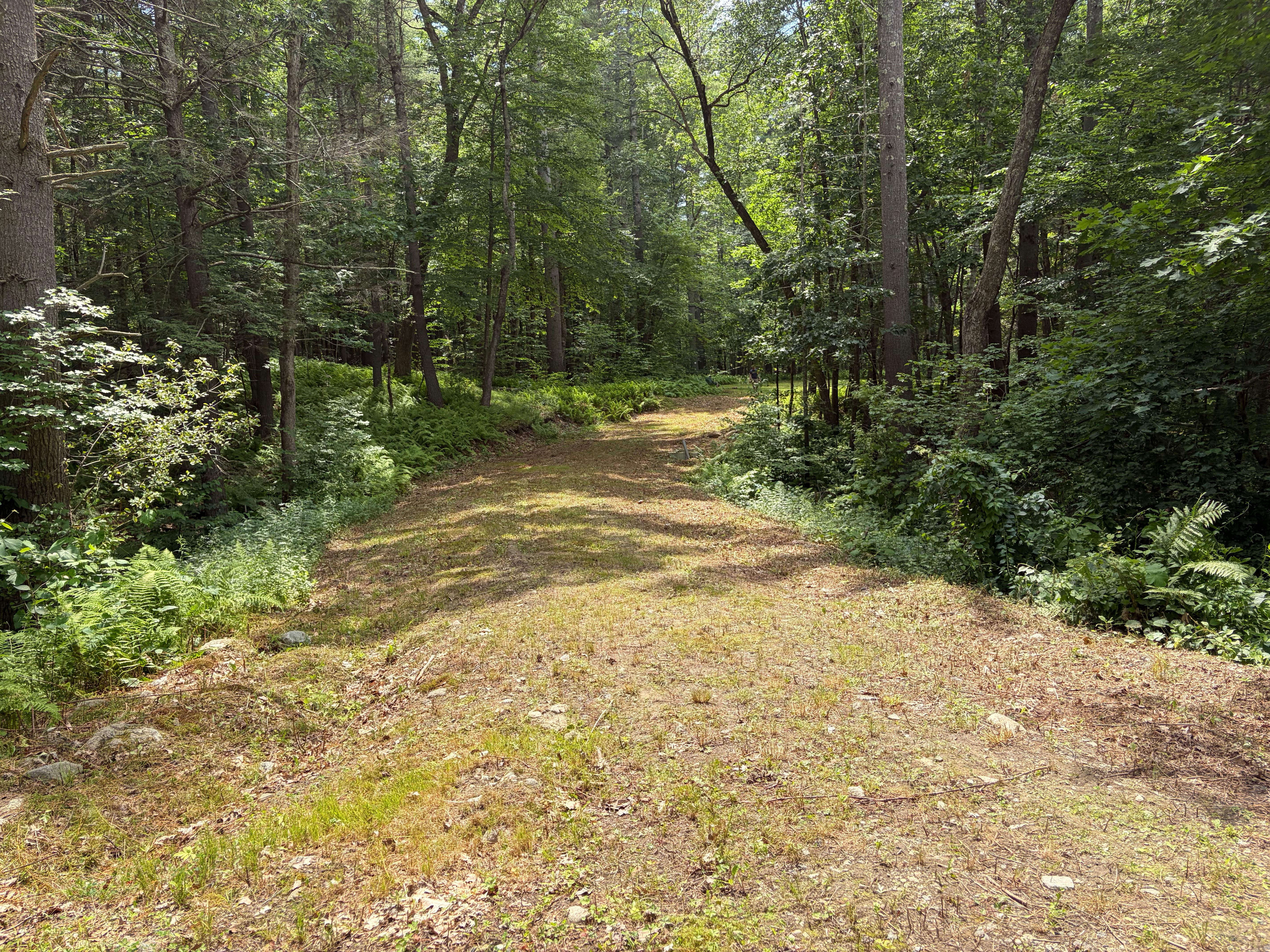  0 Judy Farm Road, Carlisle, MA, 01741 - 物件實景