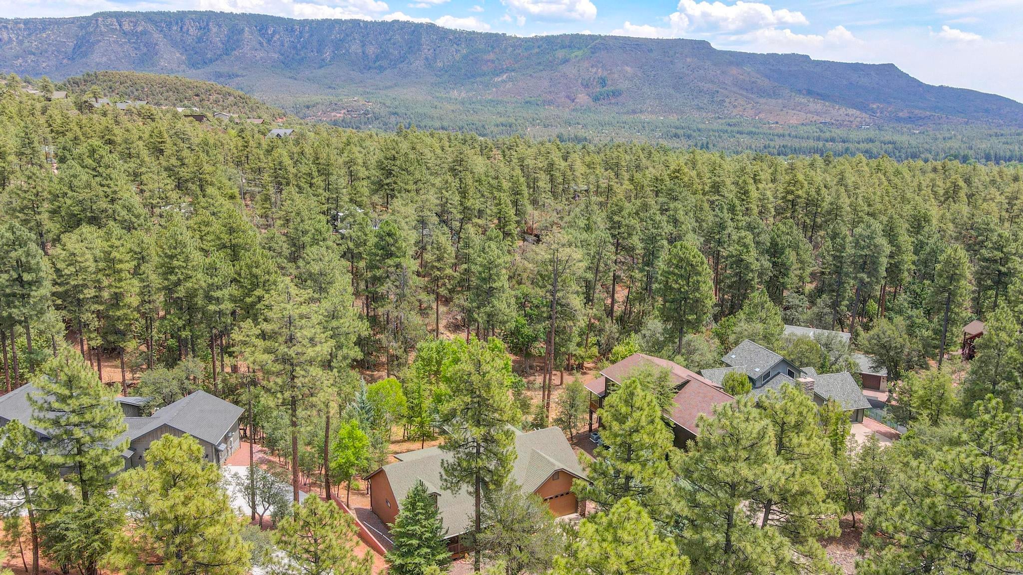 Pine, Arizona, 85544, United States, 4 Bedrooms Bedrooms, ,2 BathroomsBathrooms,Residential,For Sale,1910772