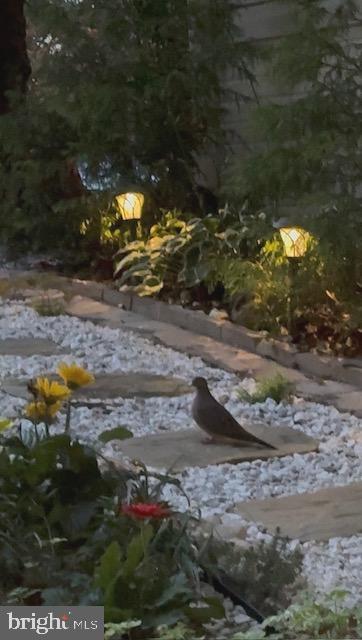 Clifton, Virginia, 20124, United States, 2 Bedrooms Bedrooms, ,3 BathroomsBathrooms,Residential,For Sale,2001572