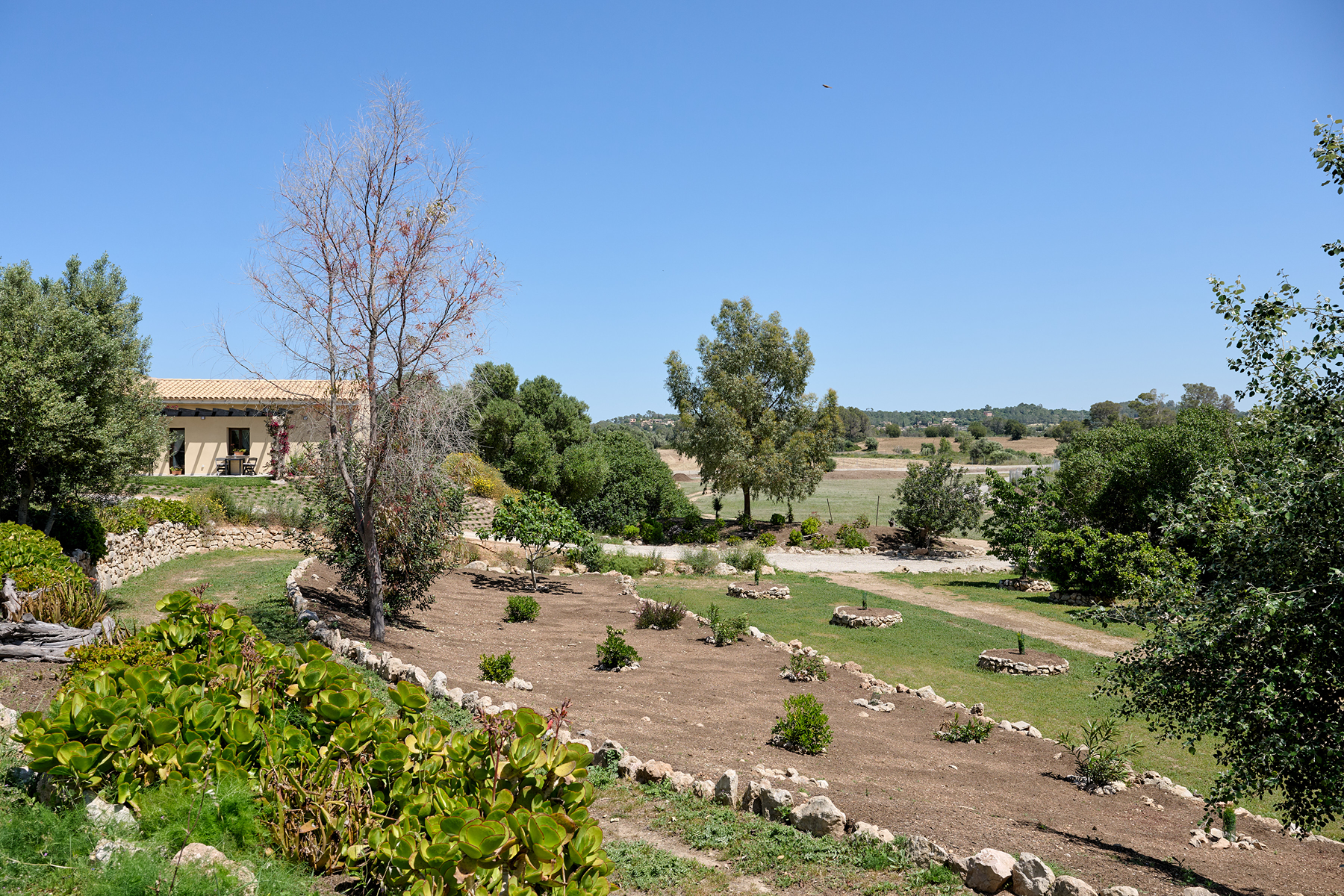  Eco-friendly estate with pool in Marratxí - 物件實景