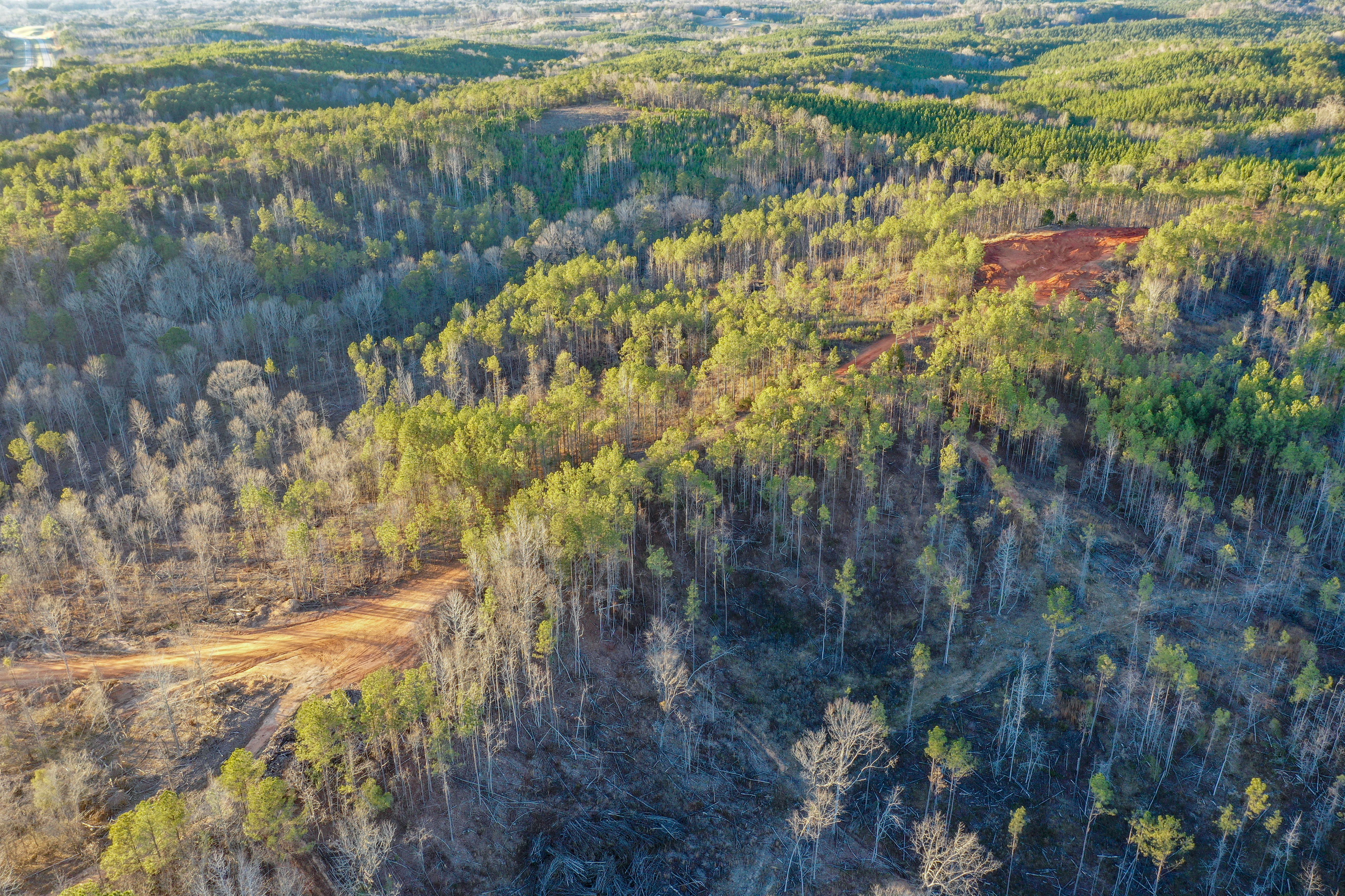 Centreville, Alabama, 35042, United States, ,Land,For Sale,2010430