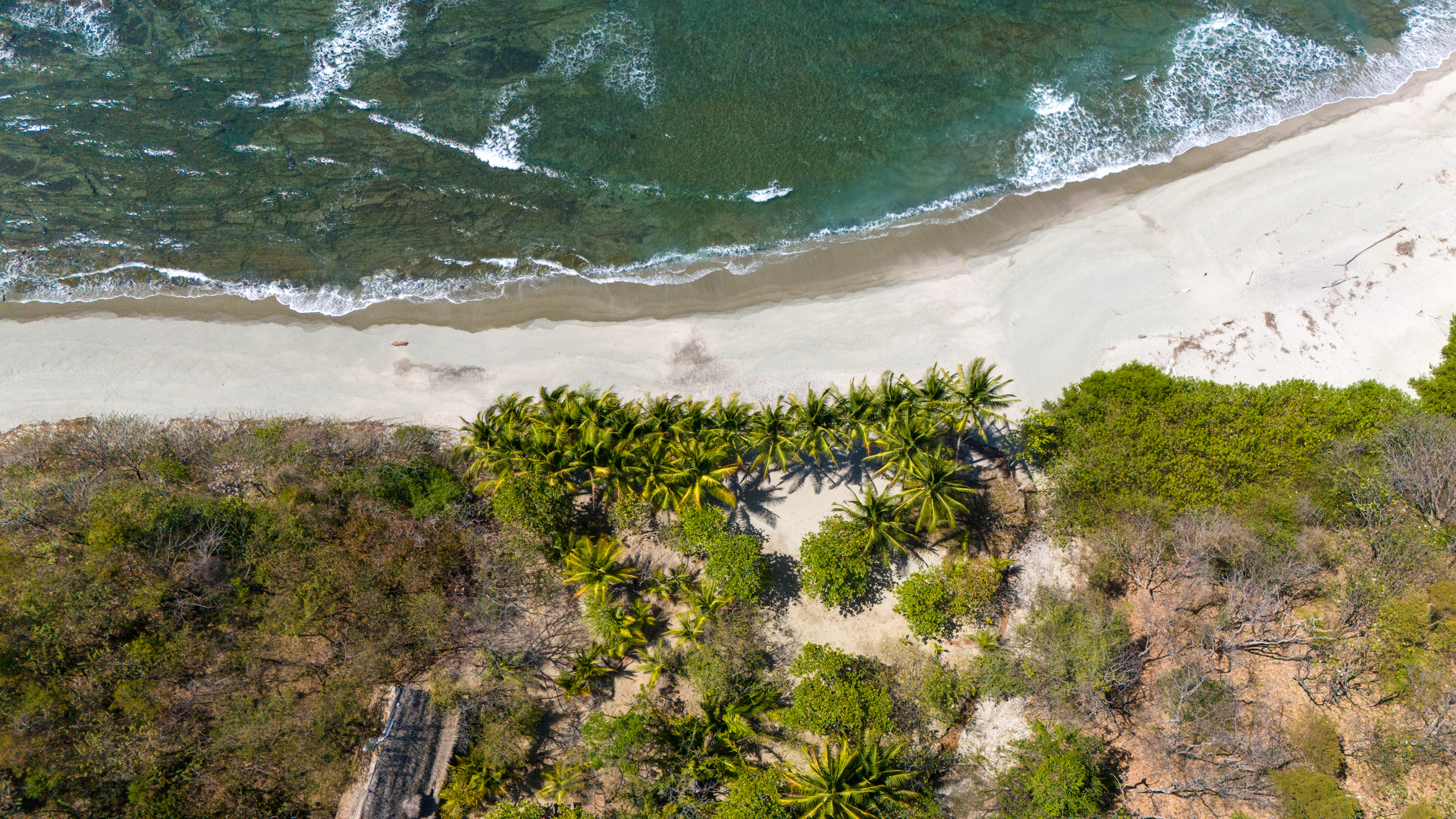 Nosara, Guanacaste, CR, ,Land,For Sale,1628483