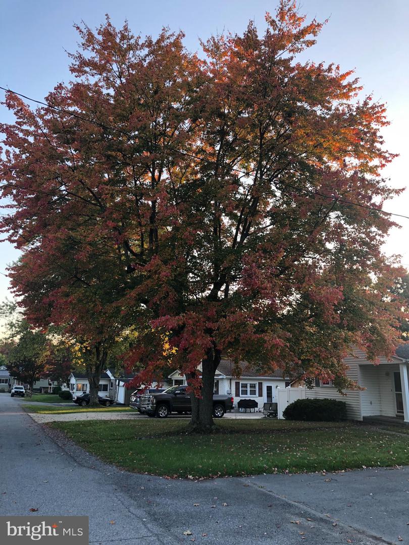 Jesse St, Philipsburg, PA 16866 #1