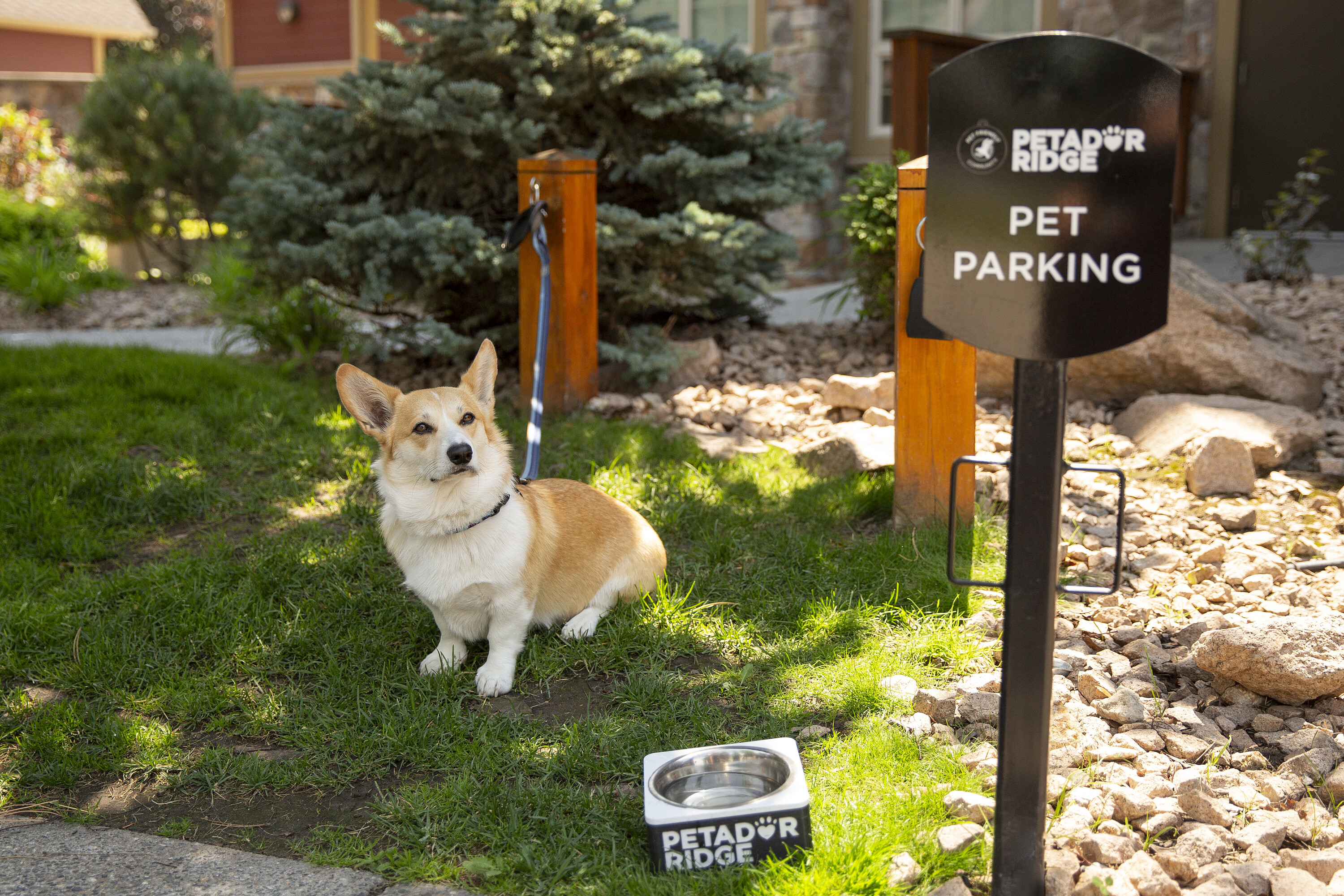  Premium Lot In Wildsong - 物件實景
