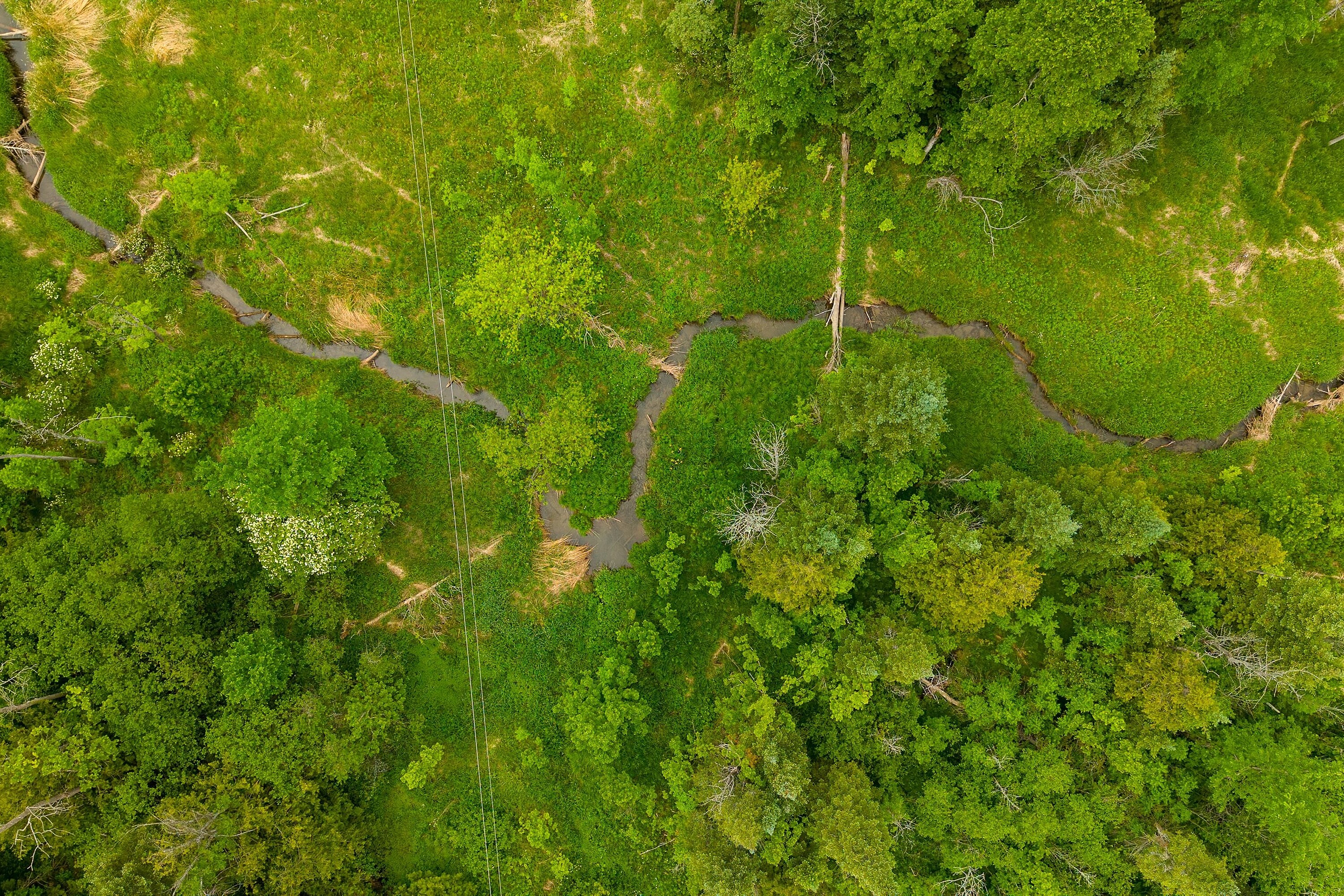  33 Acre Country Retreat - 物件實景