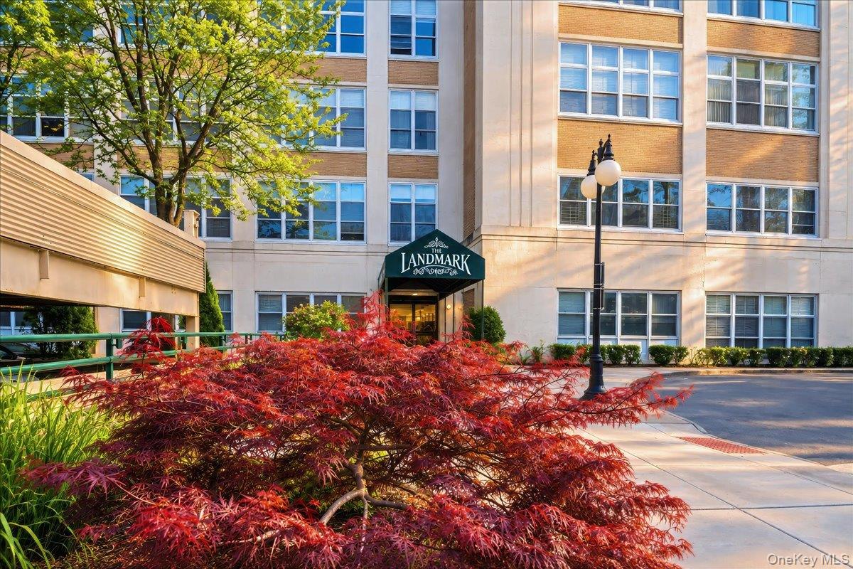 Landmark Sq, Port Chester, NY 10573 #1