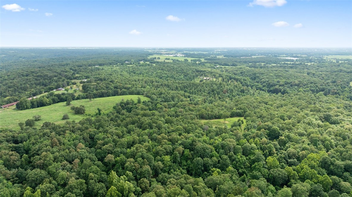 Noel, Missouri, 64854, United States, ,Land,For Sale,1785483
