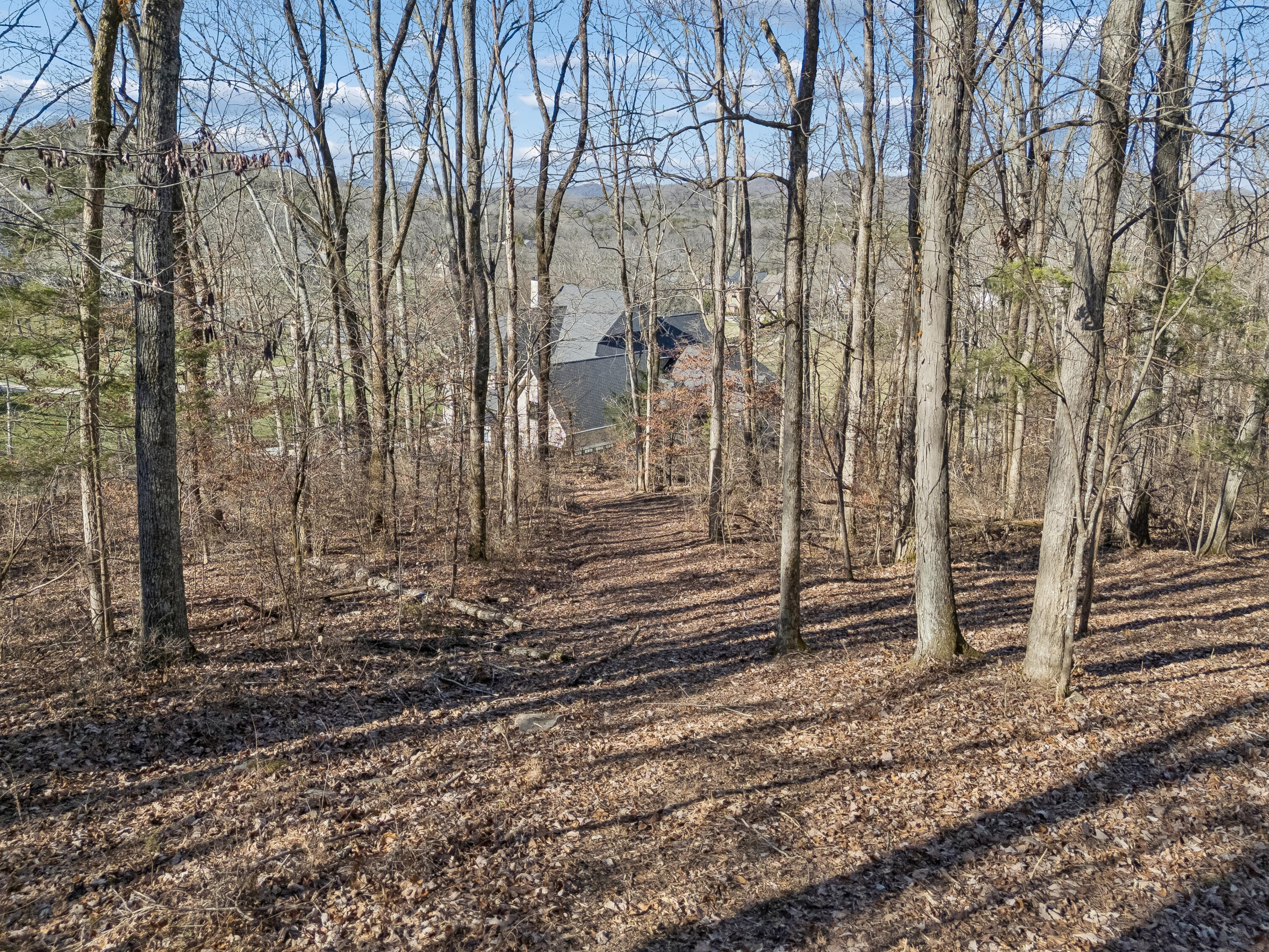 Brentwood, Tennessee, 37027, United States, ,Land,For Sale,2005446