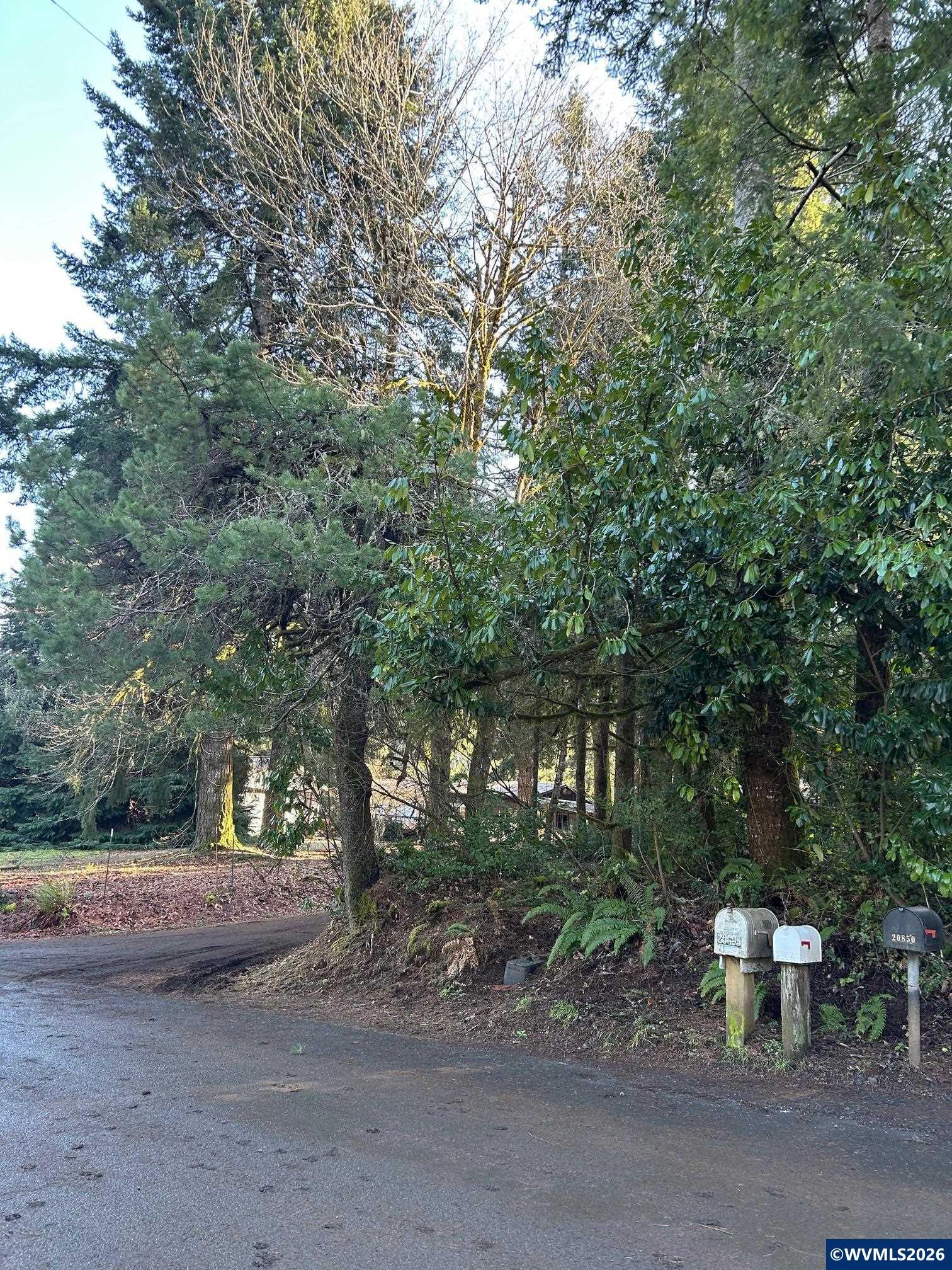 Parry Rd, Falls City, OR 97344 #1