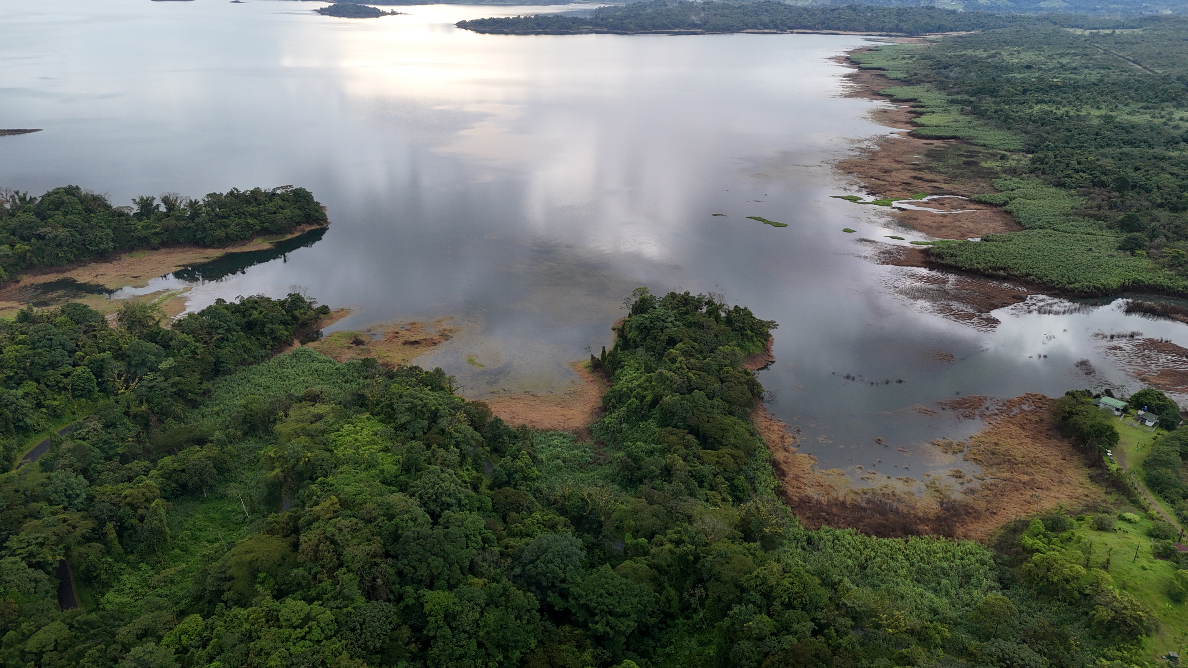 La Fortuna, Alajuela, CR, ,Land,For Sale,1828569