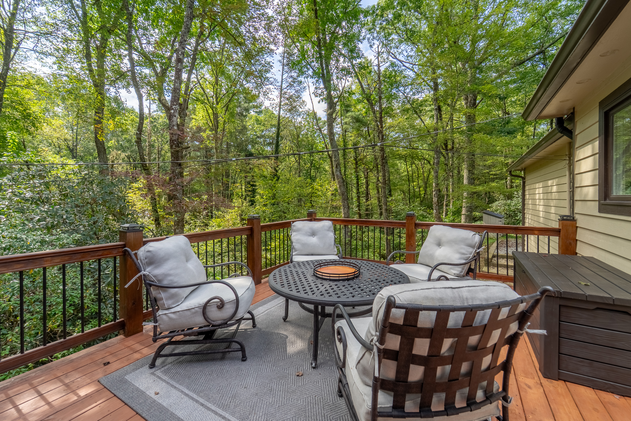  65 Nantahala Lane, Highlands, NC 28741 - 物件實景