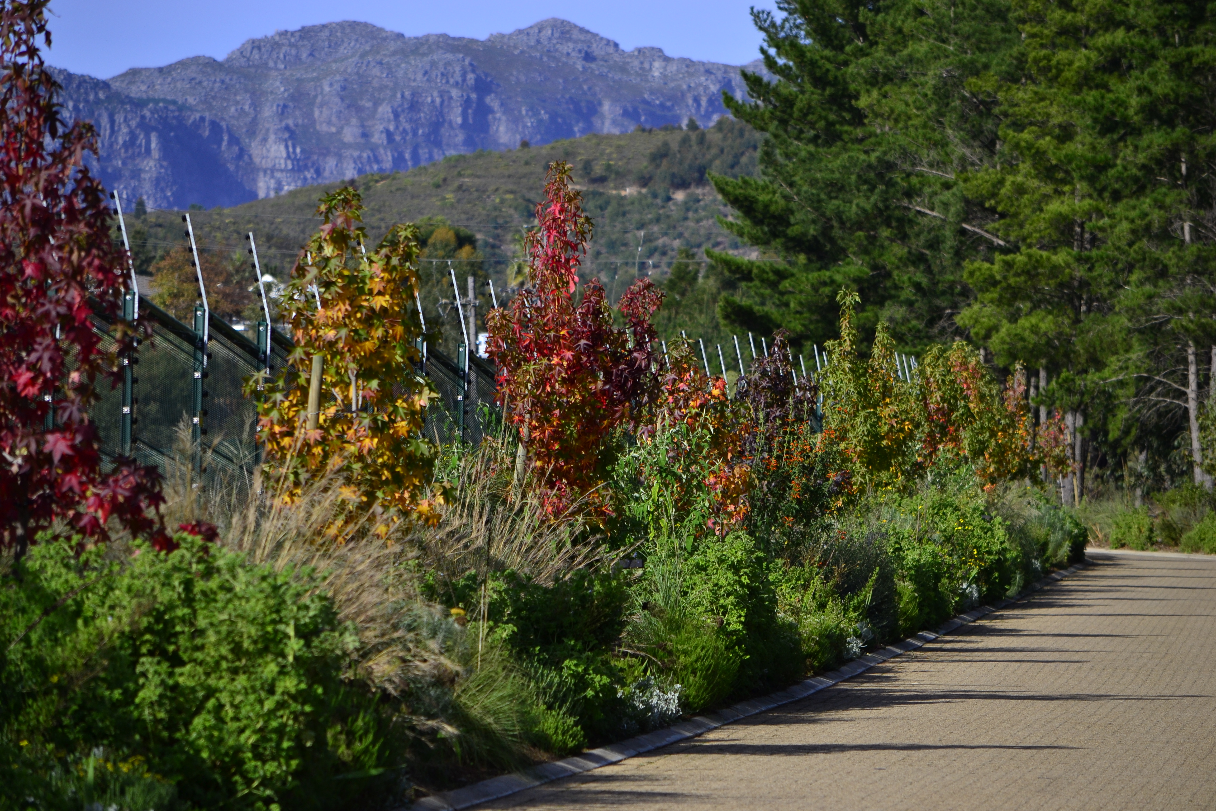  Botmaskop Estate Stellenbosch - 物件實景