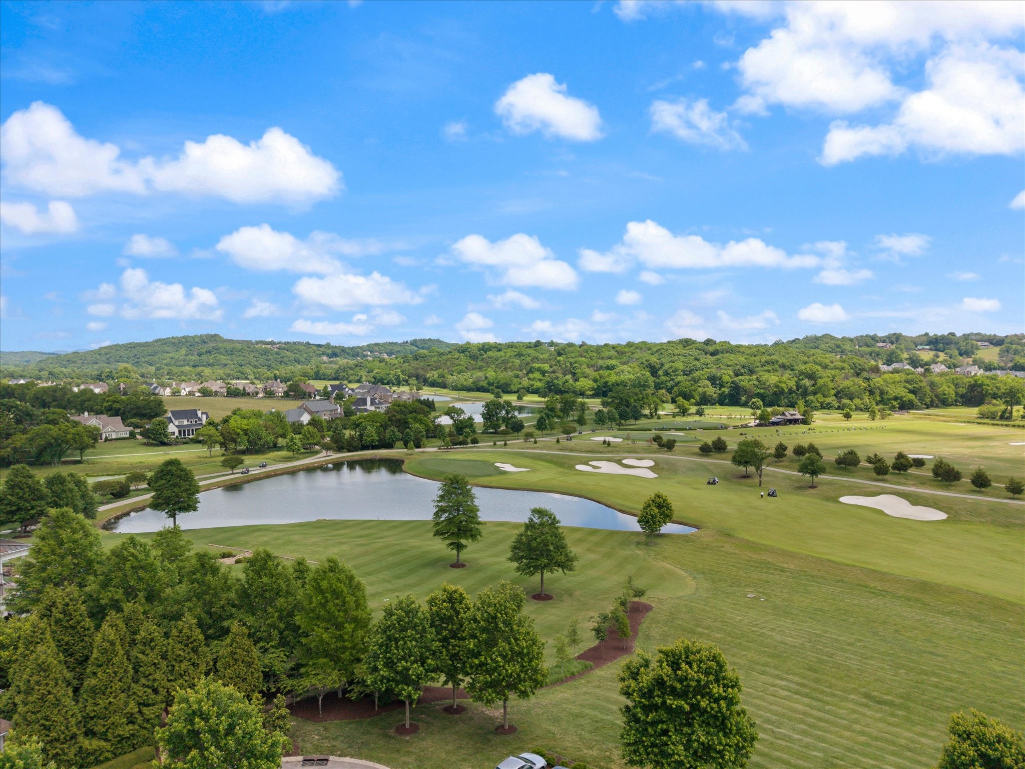  5182 Wildings Blvd, College Grove, TN, 37046 - 物件實景