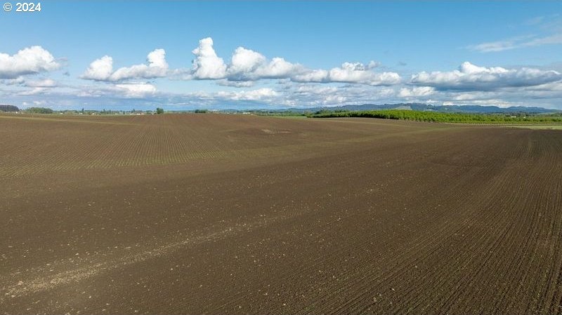 0 SW YOUNGBERG HILL RD, McMinnville, Oregon, 97128, United States, ,Land,For Sale,0 SW YOUNGBERG HILL RD,1523694
