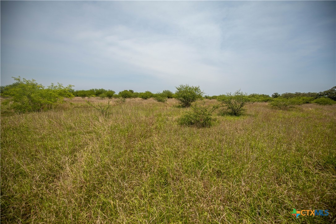 Cuero, Texas, 77954, United States, ,Residential,For Sale,1950887