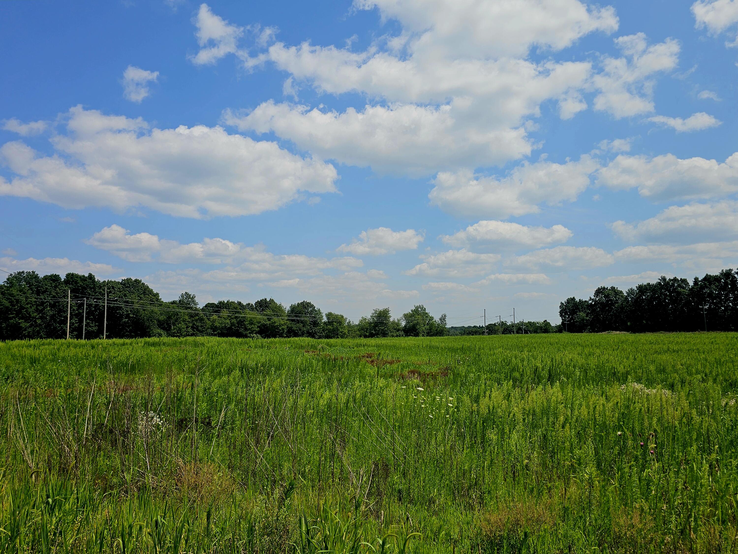 Jonesville, Michigan, 49250, United States, ,Land,For Sale,1983272