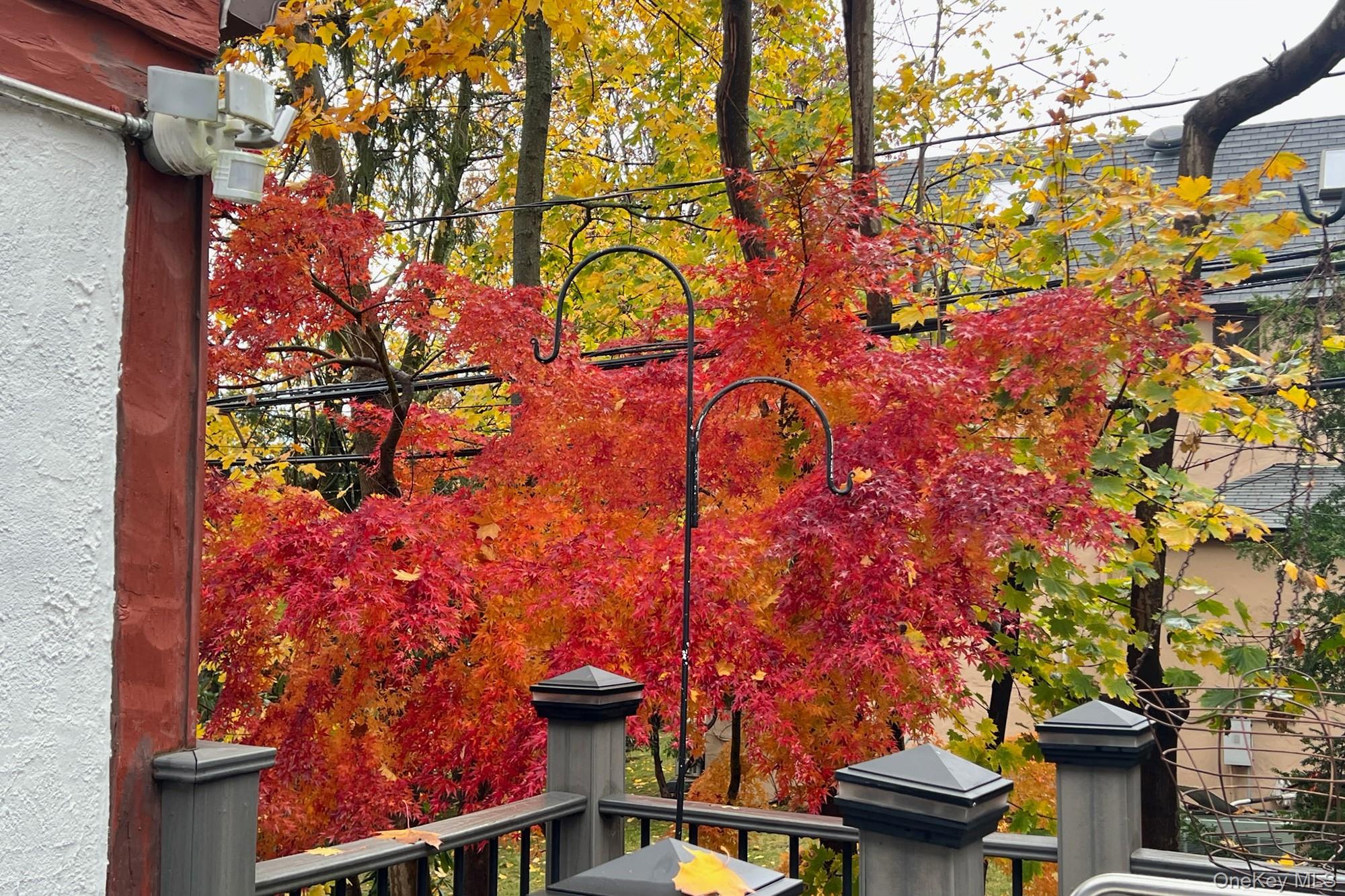  36 Strathmore Road, Great Neck, NY, 11023 - 物件實景