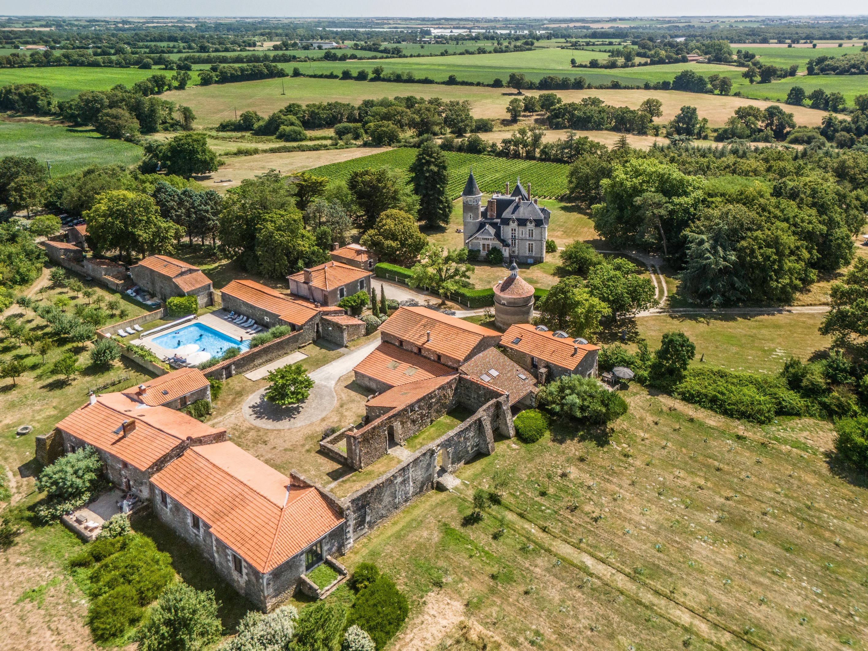  Elegant 19th château with guesthouses and vineyard - 物件實景