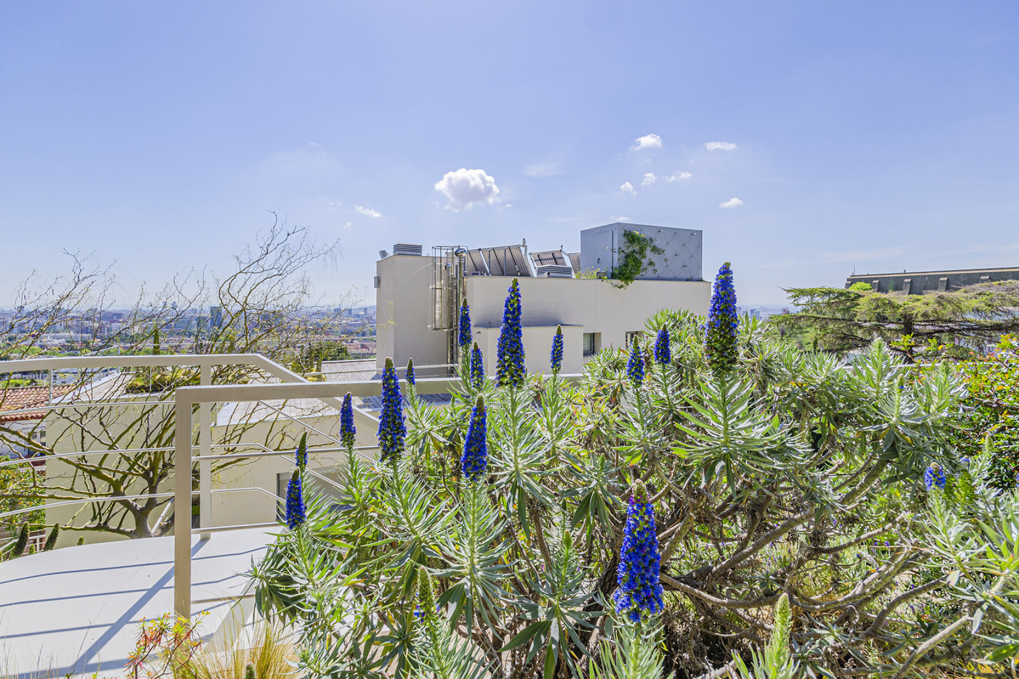  Property with breathtaking views surrounded by tropical garden - 物件實景