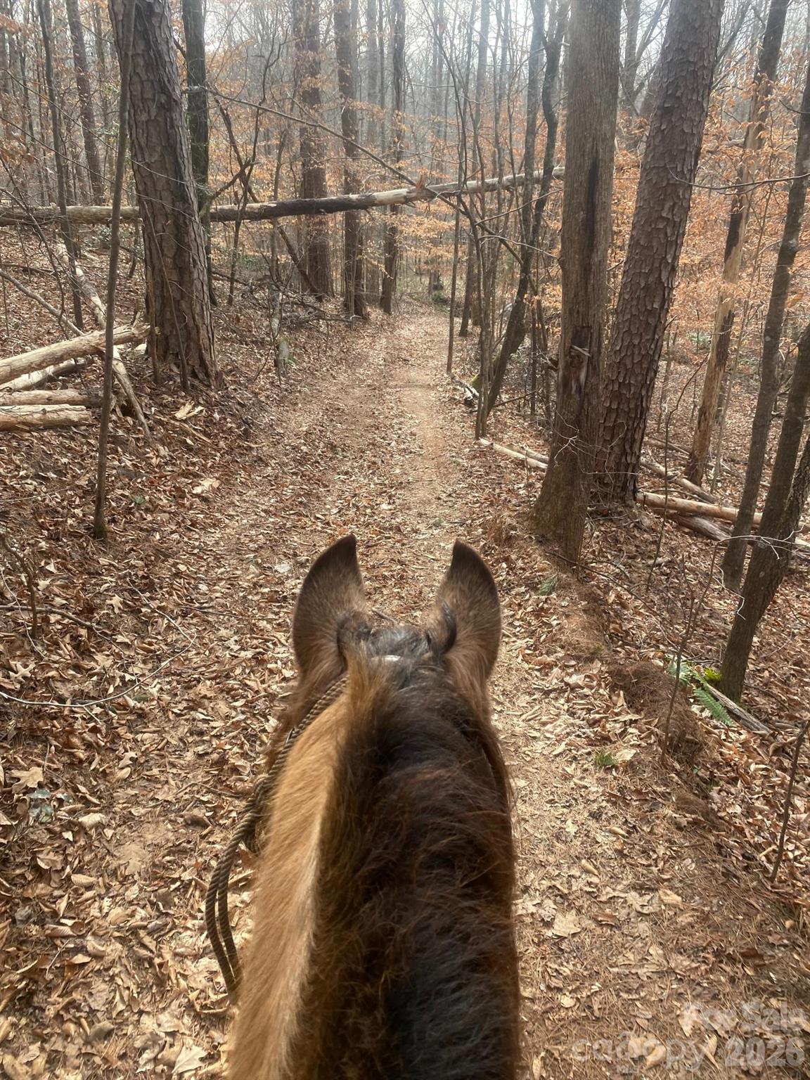 Columbus, North Carolina, 28722, United States, 2 Bedrooms Bedrooms, ,2 BathroomsBathrooms,Residential,For Sale,2009106