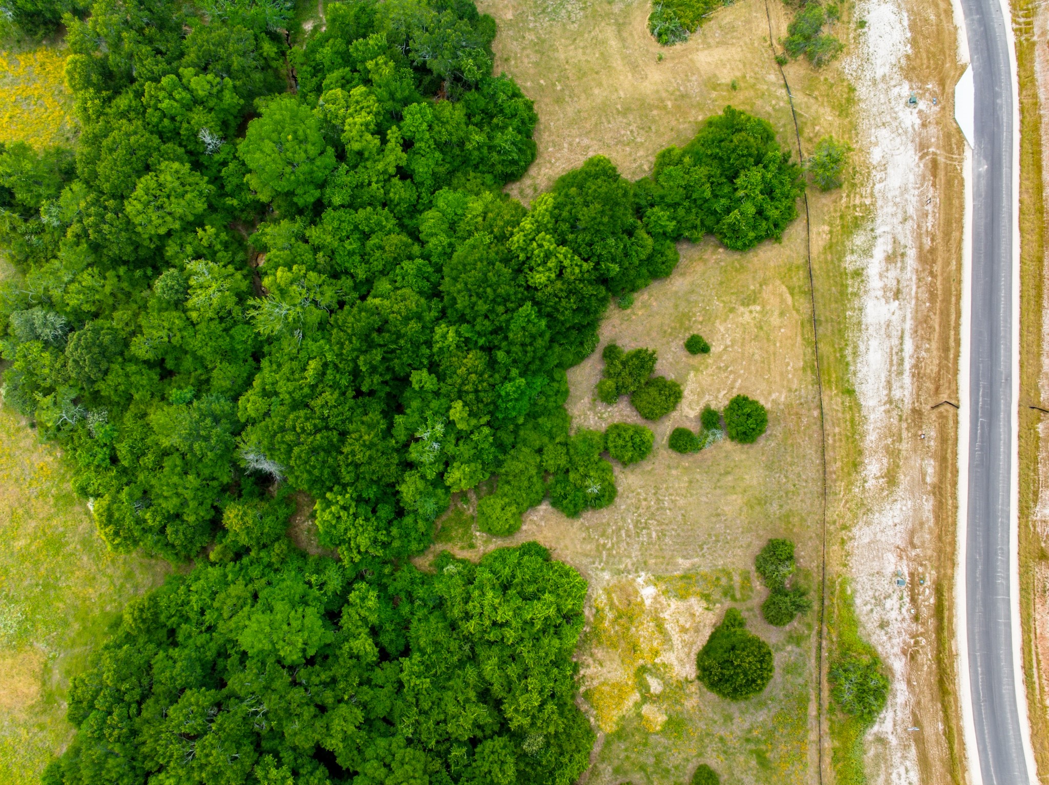  10708 Cook Crossing, College Station, TX 77845 - 物件實景