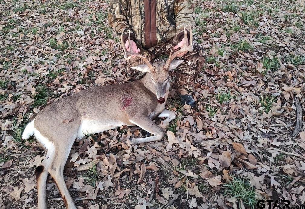 Dekalb, Texas, 75559, United States, ,Land,For Sale,1983481