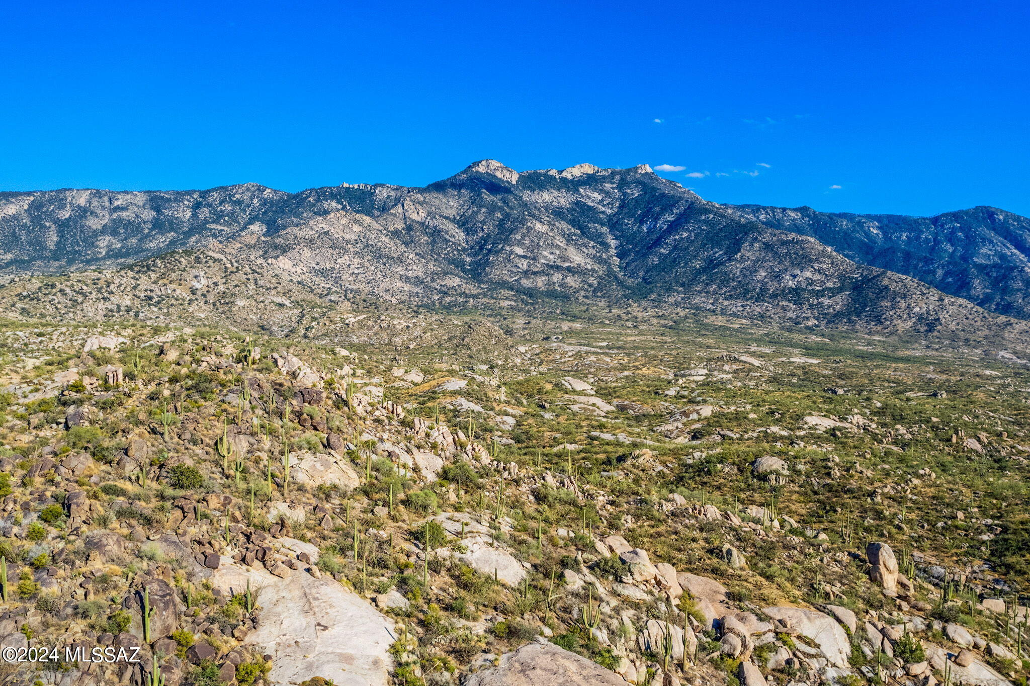 Tucson, Arizona, 85739, United States, ,Land,For Sale,1744993