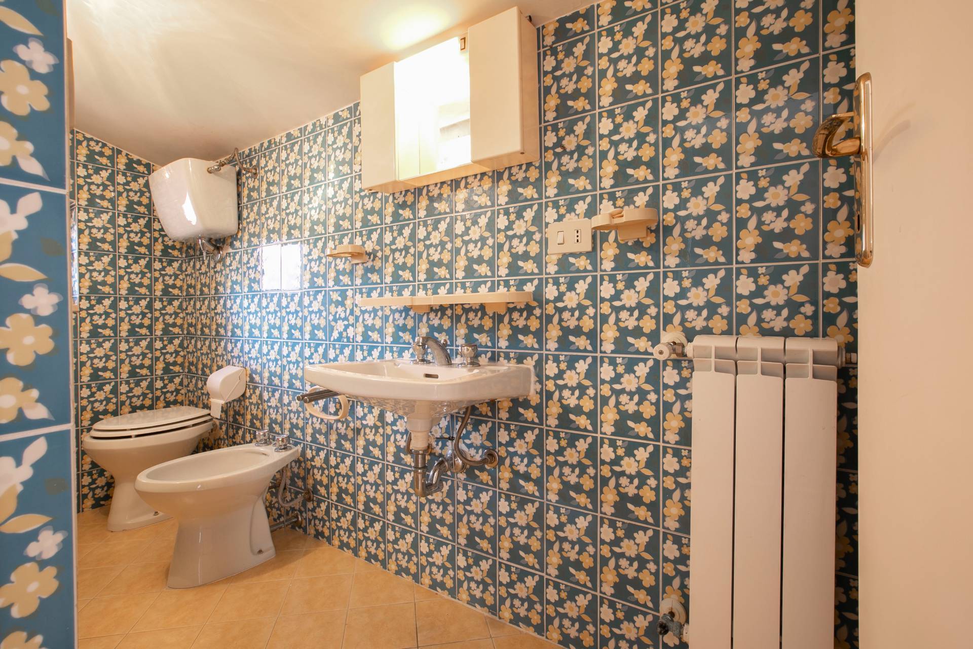 Via Amipsia, Roma, Roma, 00100, IT, 7 Bedrooms Bedrooms, ,6 BathroomsBathrooms,Residential,For Sale,Via Amipsia,1441515