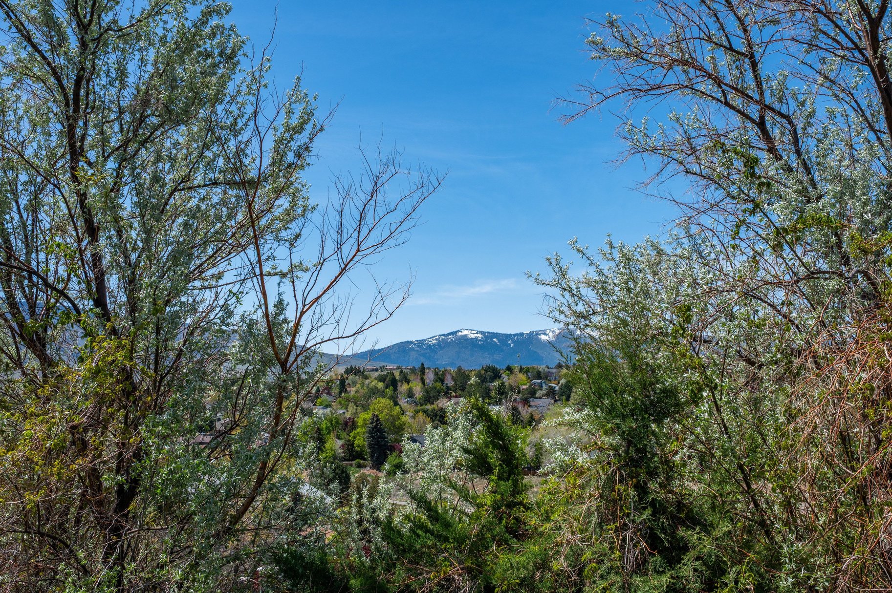  Rebuilt to Impress: Stylish Modern Townhome Retreat - 物件實景